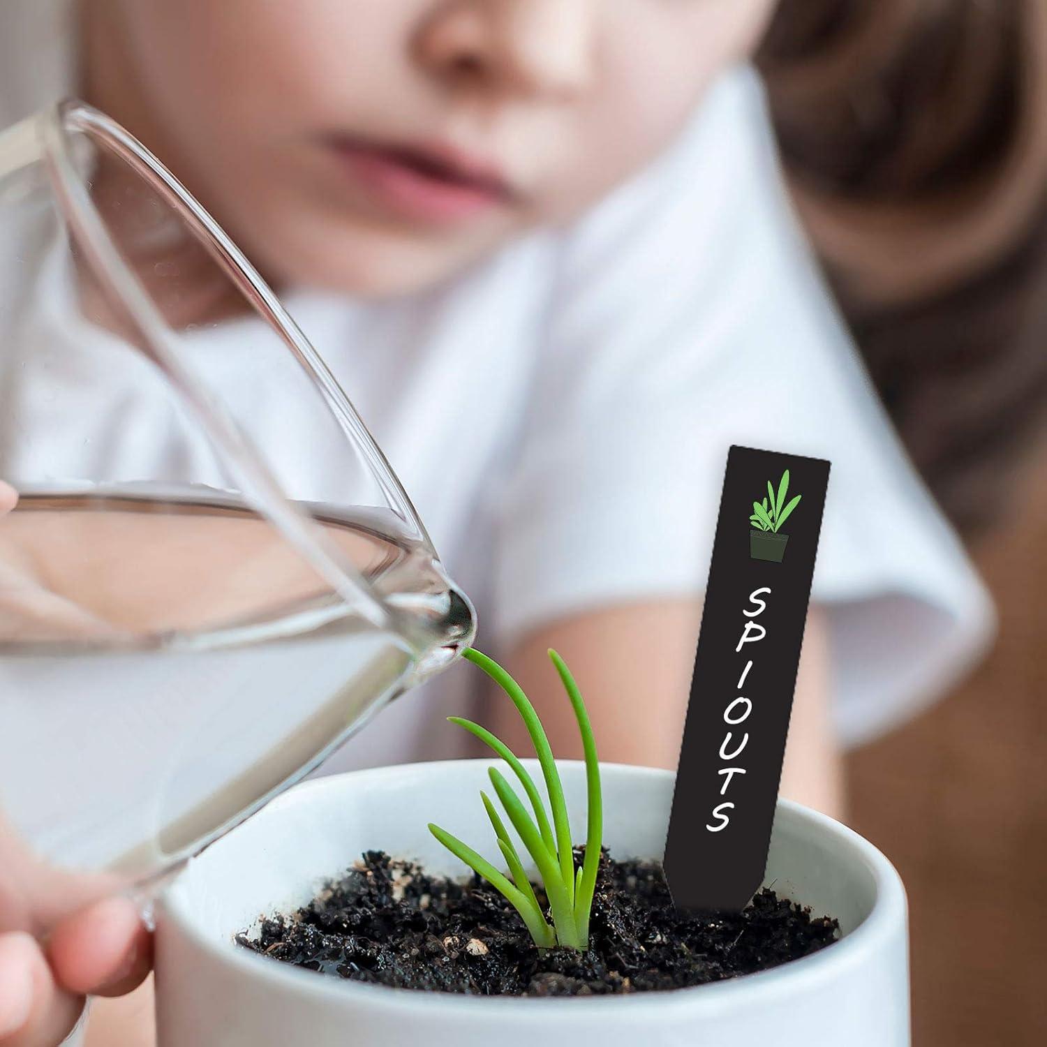 Etiquetas de Plástico para Plantas Whaline 200 Pcs 10x2 cm