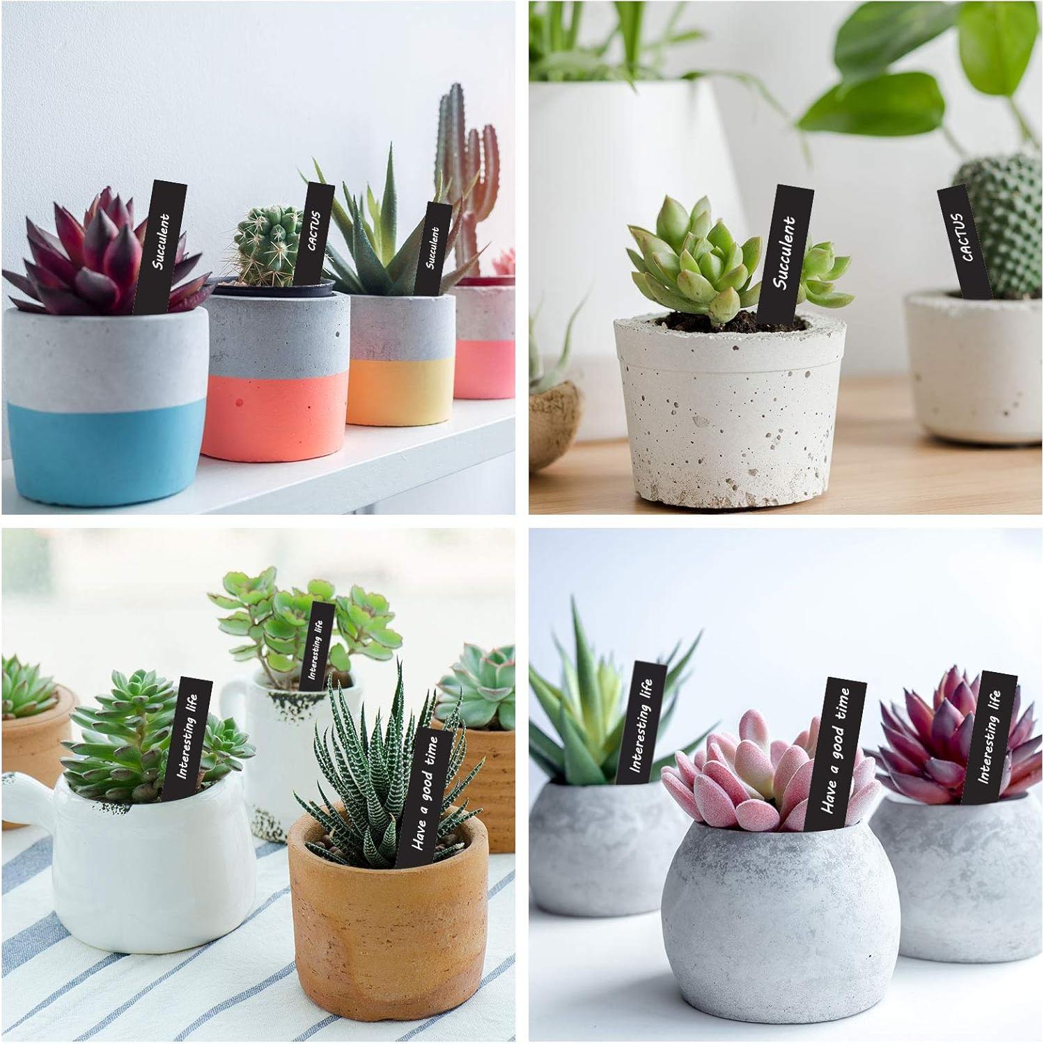 Etiquetas de Plástico para Plantas Whaline 200 Pcs 10x2 cm