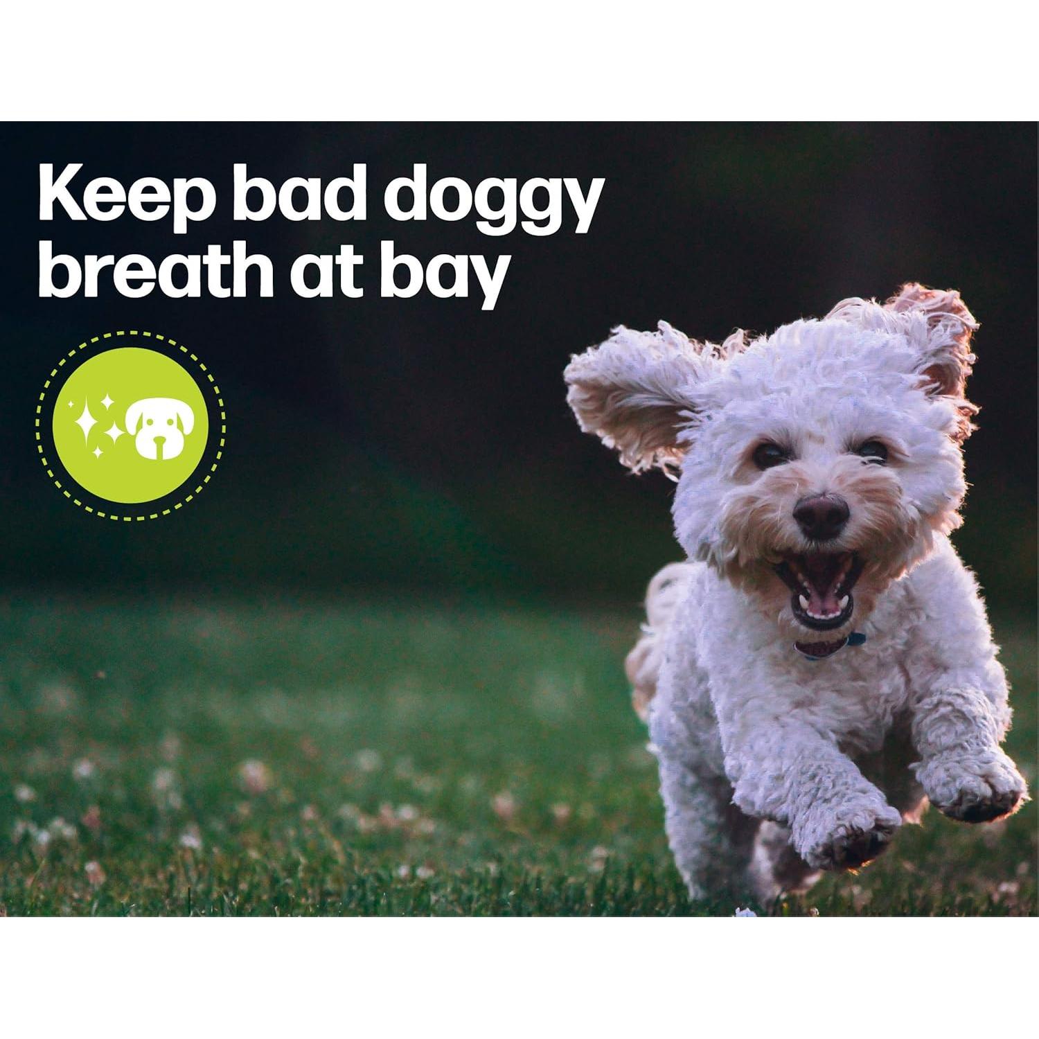 Huesos Doozie Fido para Perros Mini Sabor Cacahuate 21ct