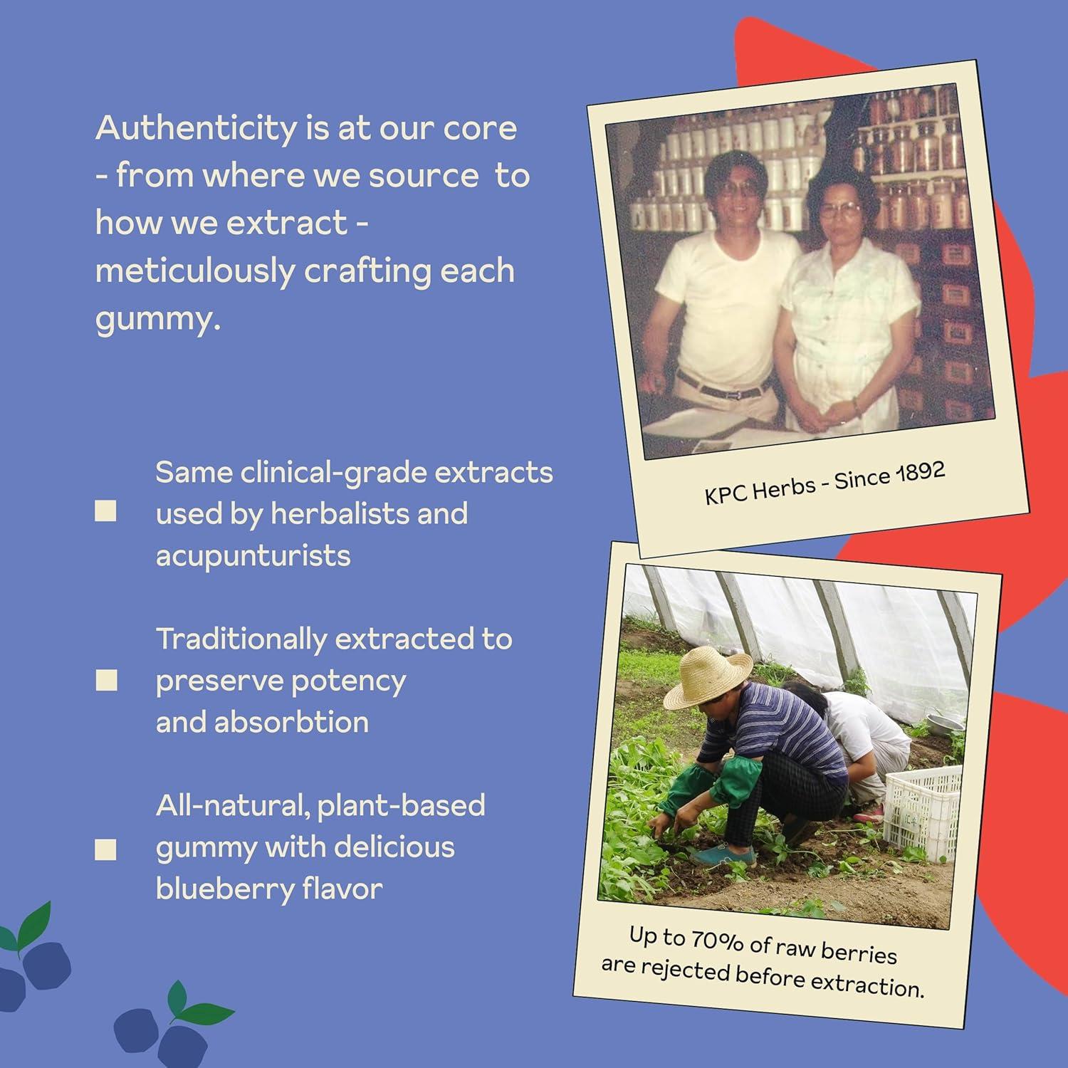 Gomitas de Baya de Goji Reprise - Antioxidante Vegano 45 Unidades