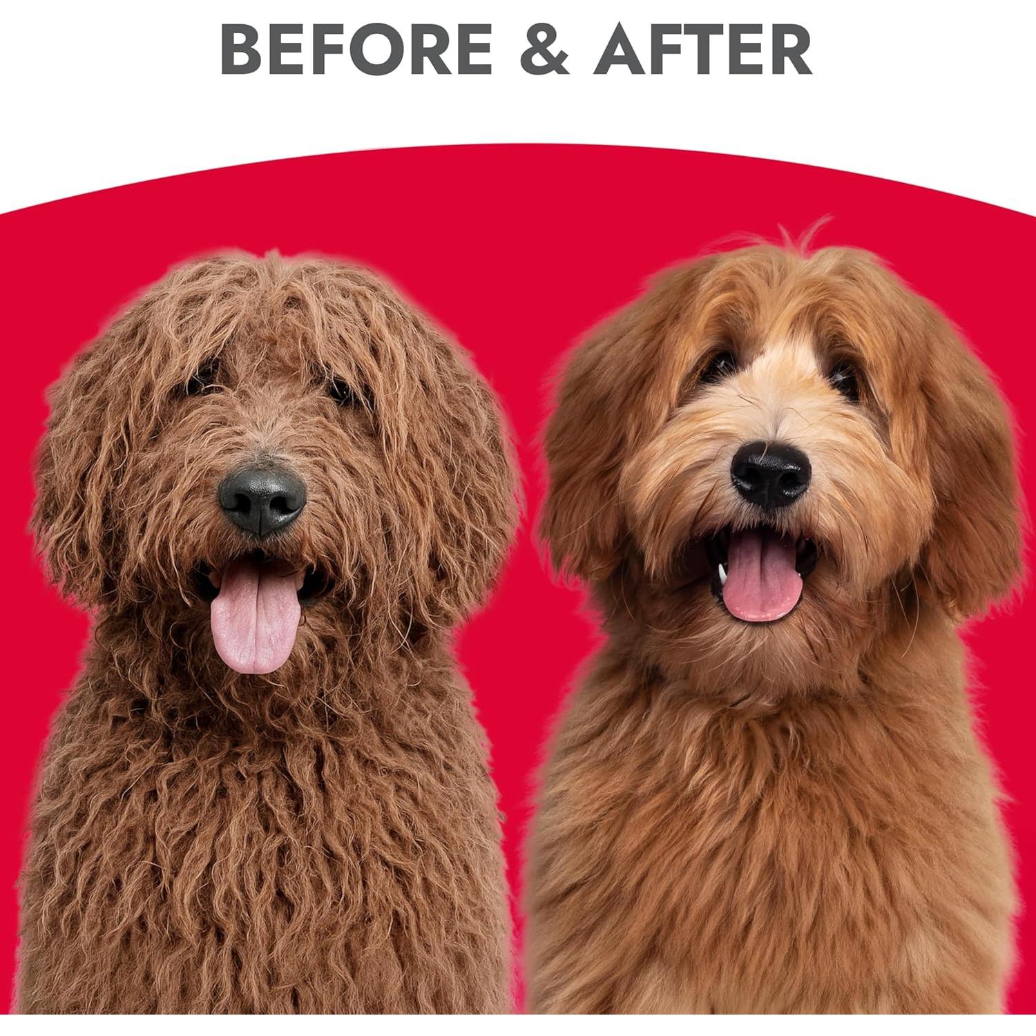 KONG Spray Desenredante para Perros 473 ml - Aroma Melón