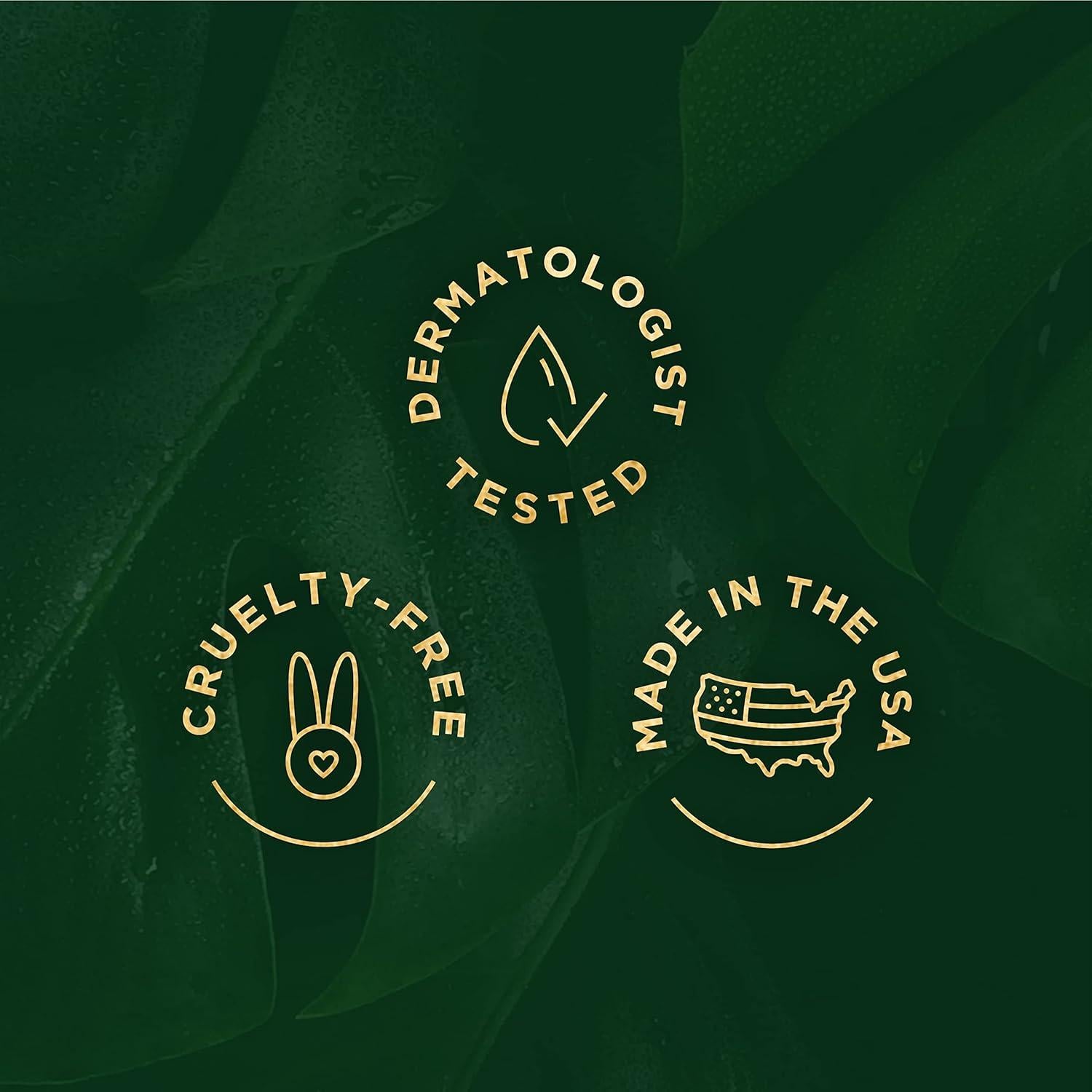 Conjunto de Cuidado Facial Tree of Life 3 Piezas Vitamina C