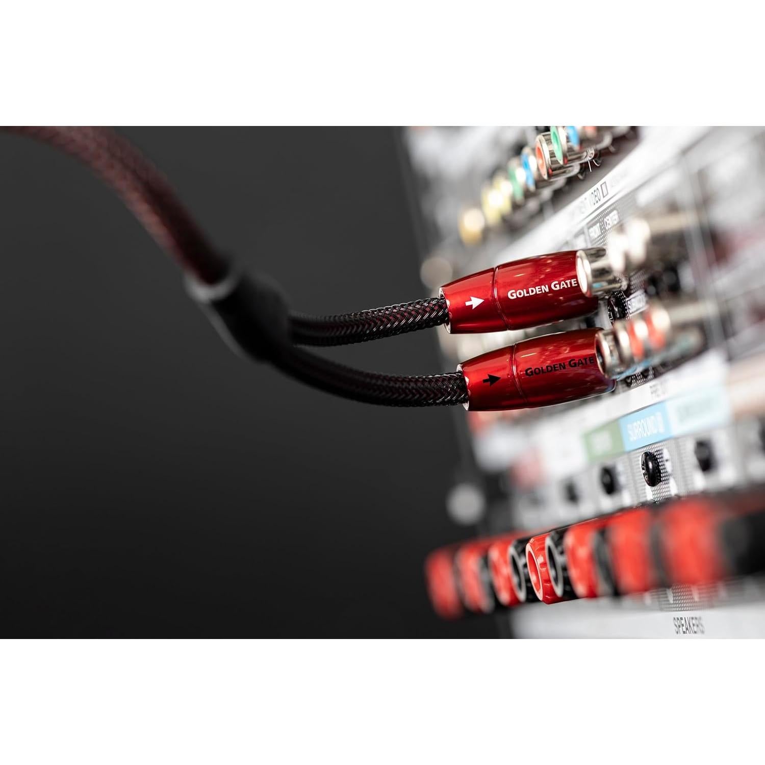 Cable Estéreo RCA AudioQuest Golden Gate 0.6 m - Alta Calidad