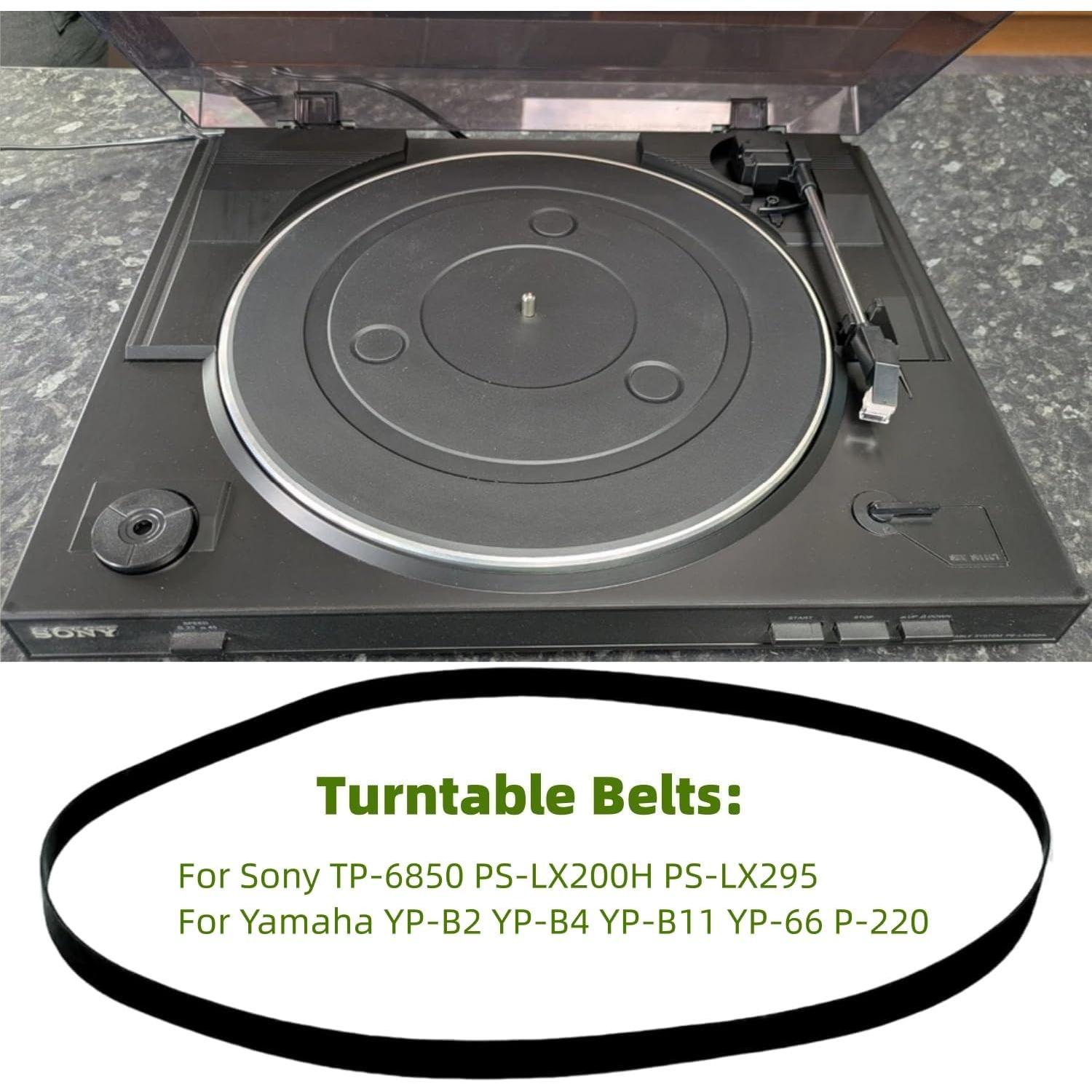 Correa de Reemplazo para Tocadiscos Sam&Johnny - Compatible con Sony y Yamaha