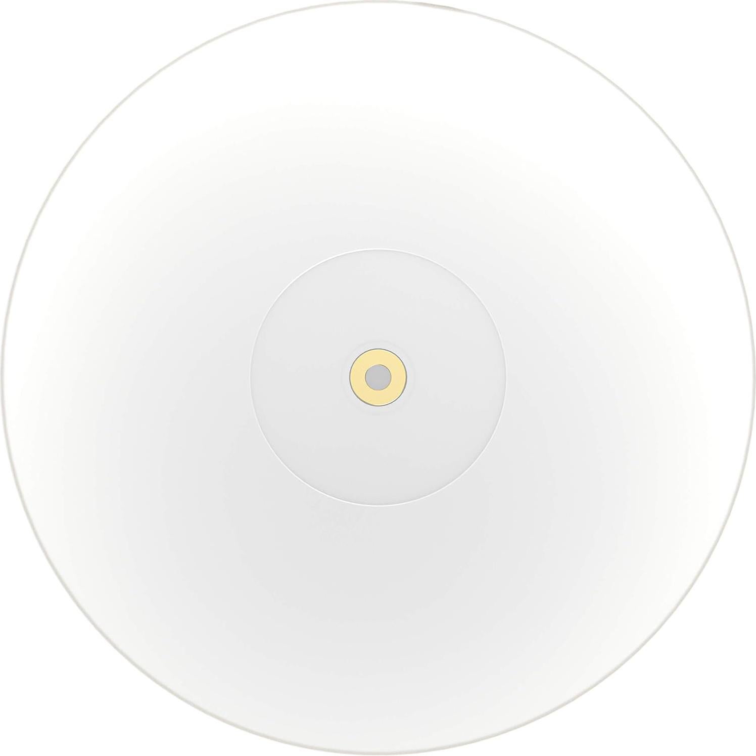 Plato de Acrílico Esmerilado Fluance AP03 para Tocadiscos 30.48 cm