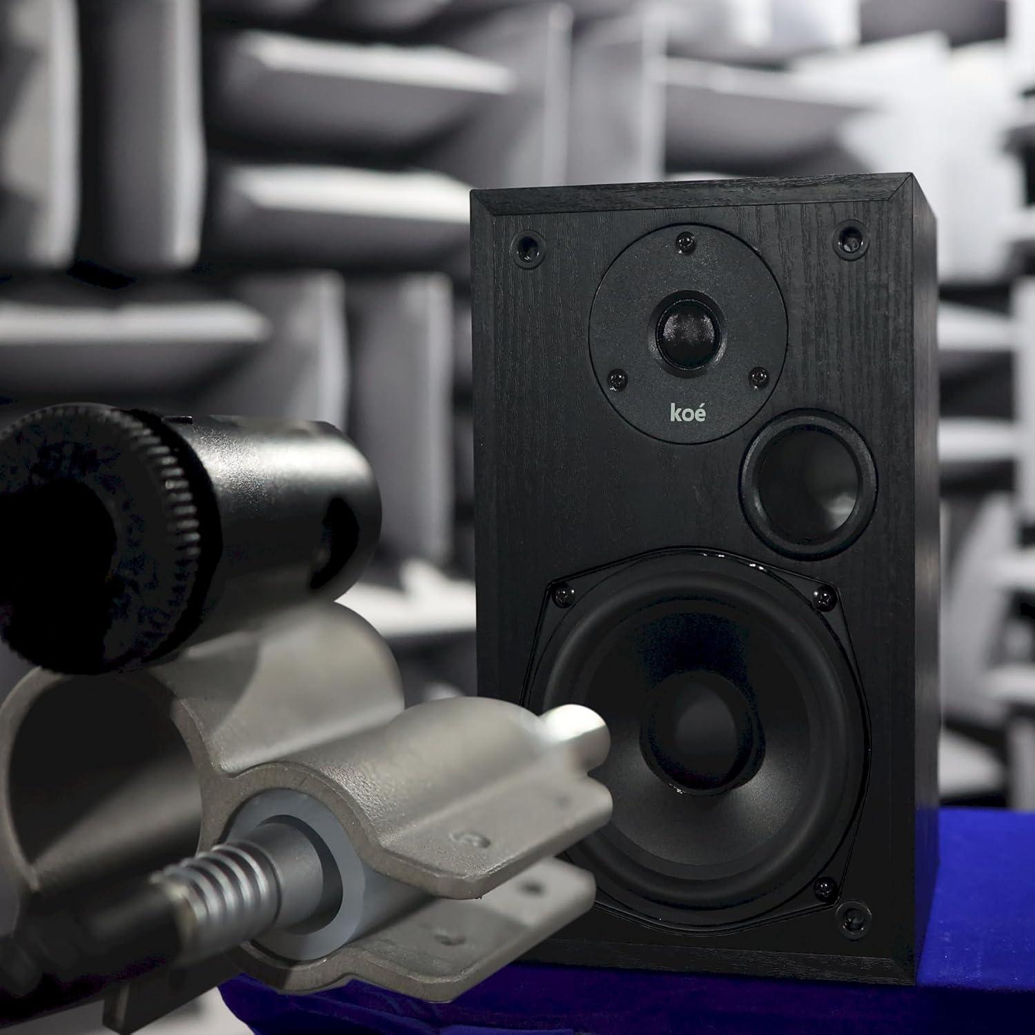 Altavoces Pasivos Audio Express Koe B102 - 100W HiFi Negro