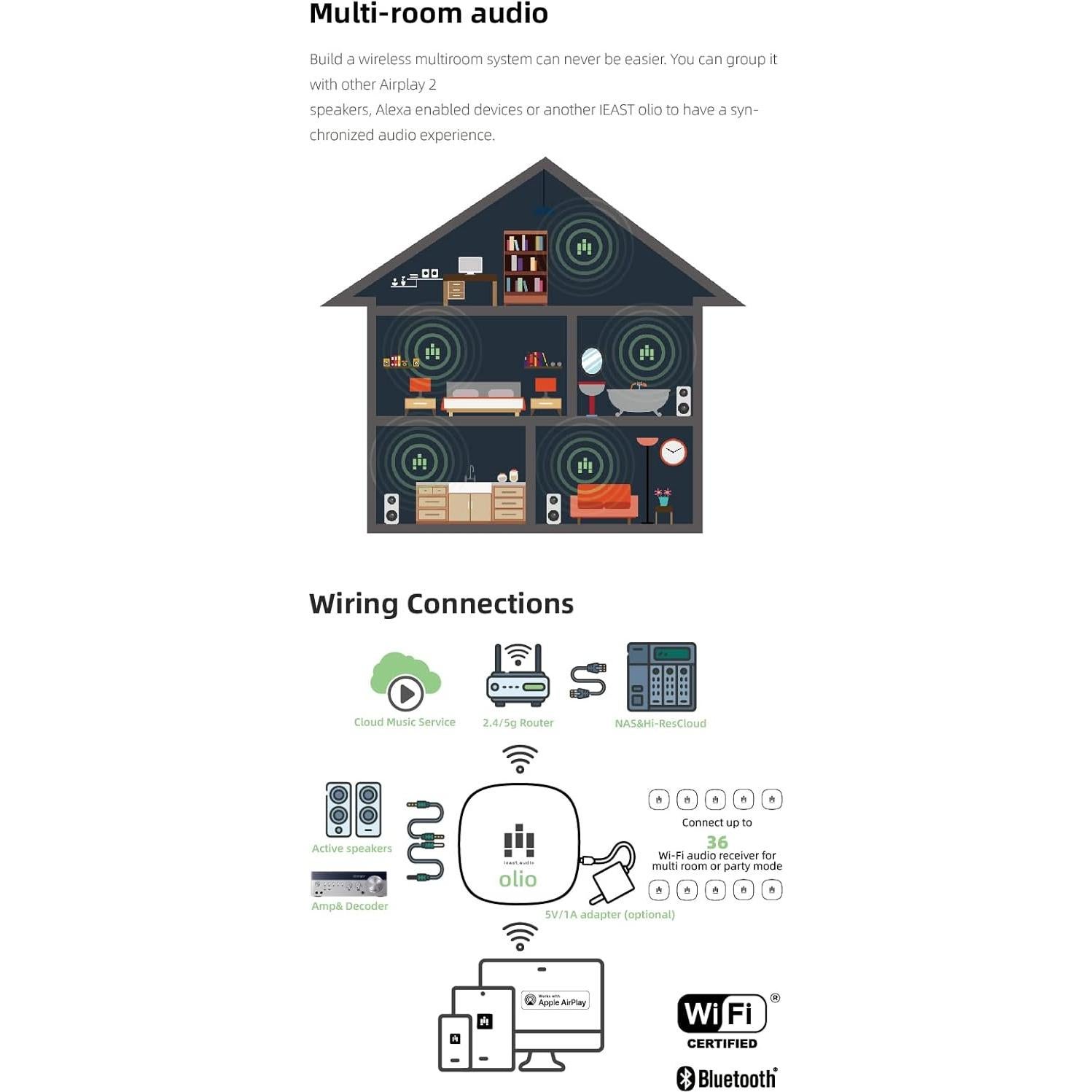 Adaptador de Audio Streaming IEAST Oliostream 1 Hi-Res 192kHz