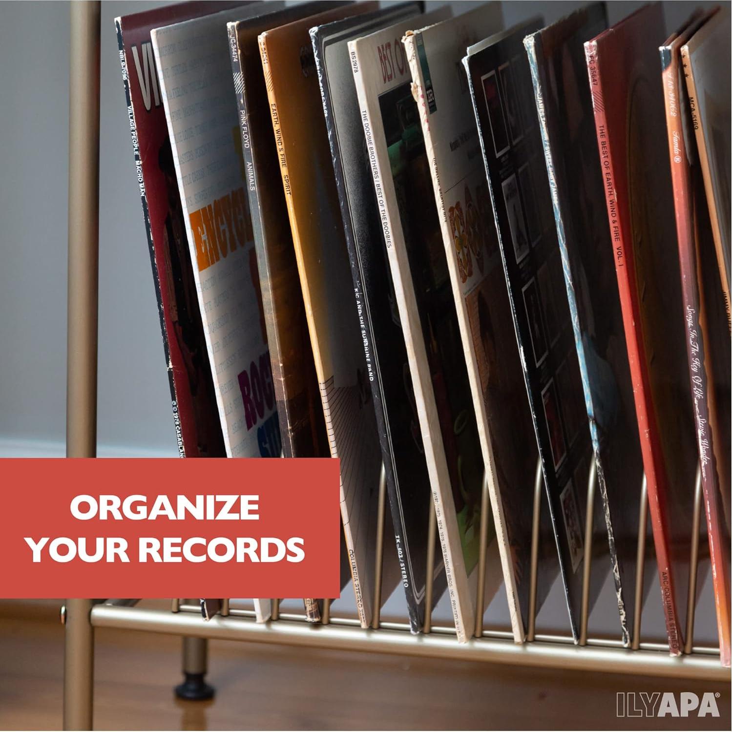 Soporte para Tocadiscos Ilyapa 2 Niveles Metal Dorado 14 Ranuras