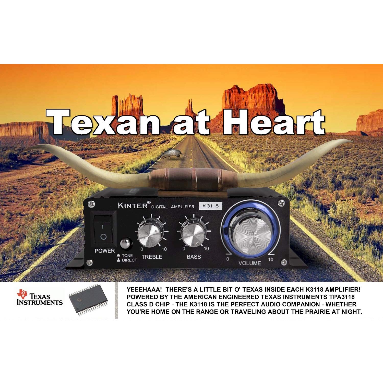 Amplificador Estéreo Kinter K3118 Hi-Fi 2x15W con Fuente 12V