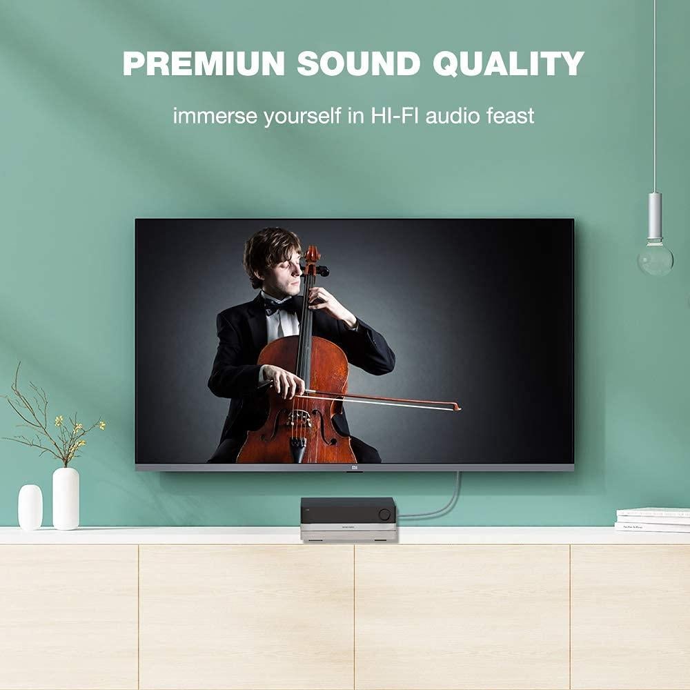 Cable Divisor RCA RIKSOIN 1 Macho 2 Hembras 28 cm Audio