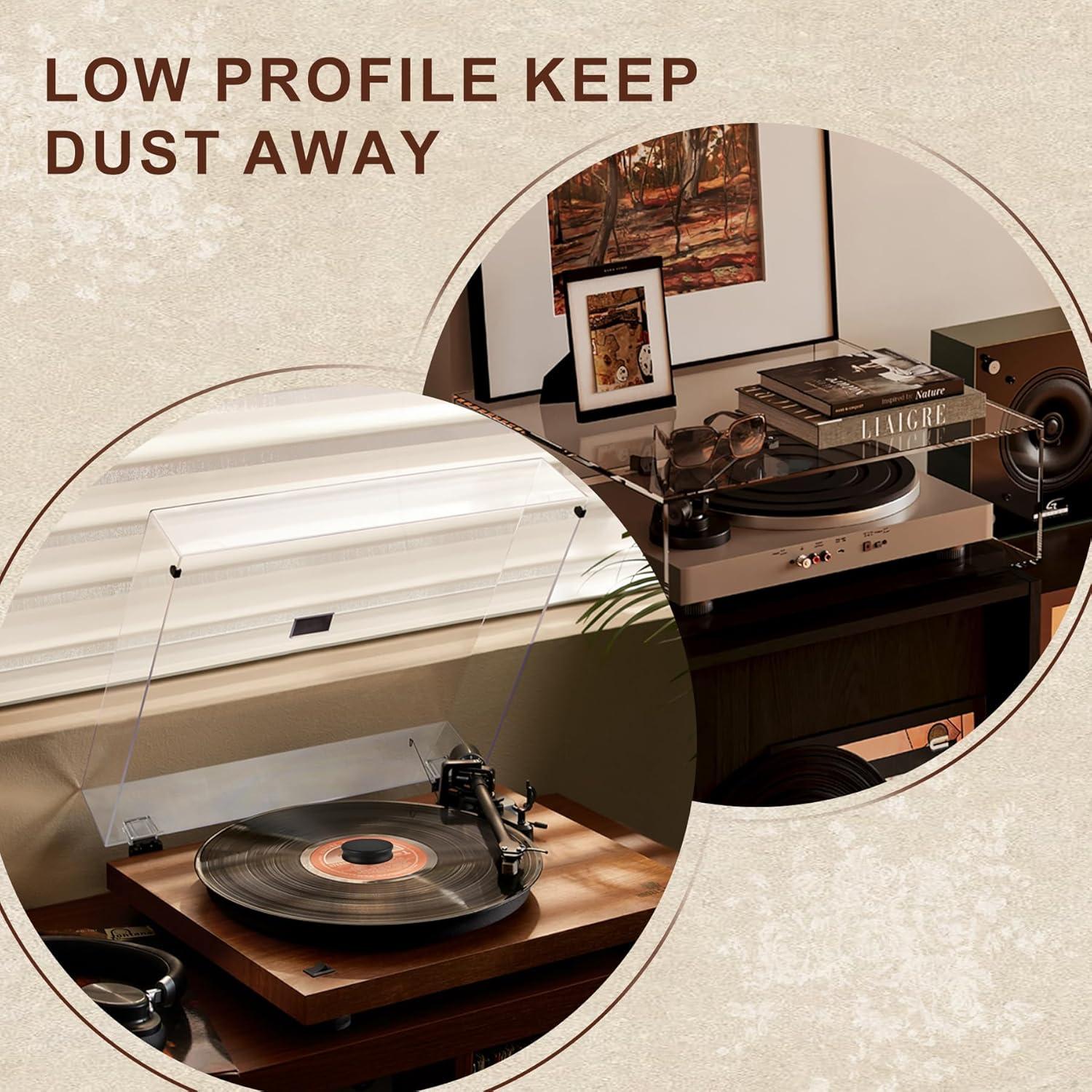 Estabilizador de Peso para Discos Aivwis - Sonido Superior Vinilo Negro