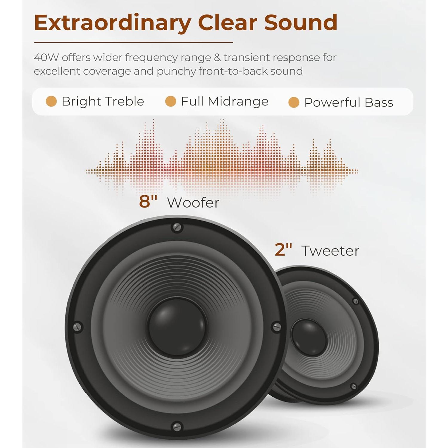 Amplificador de Batería Eléctrica Vangoa 40W 3 Entradas EQ