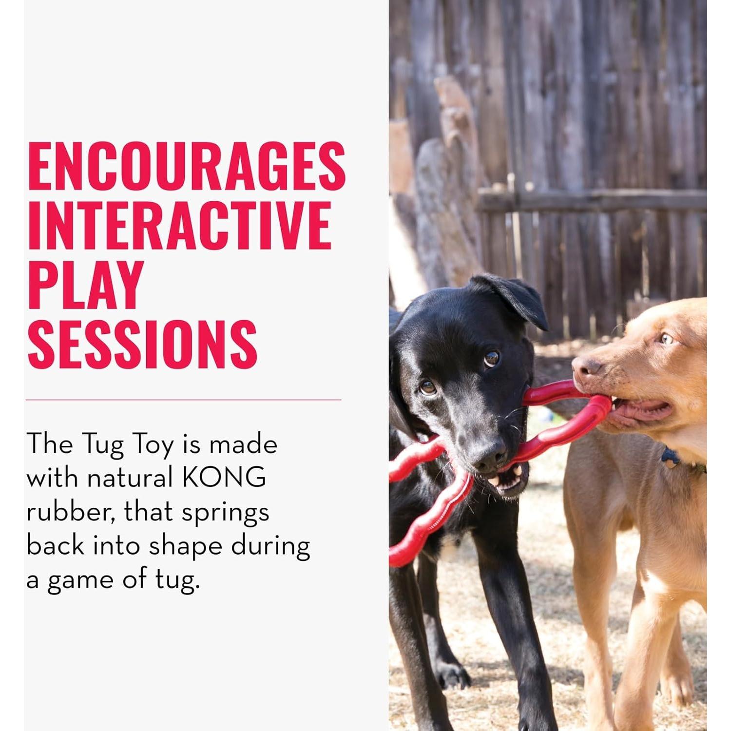 Juguete de Tirar KONG para Perros Medianos/Grandes - Goma Natural