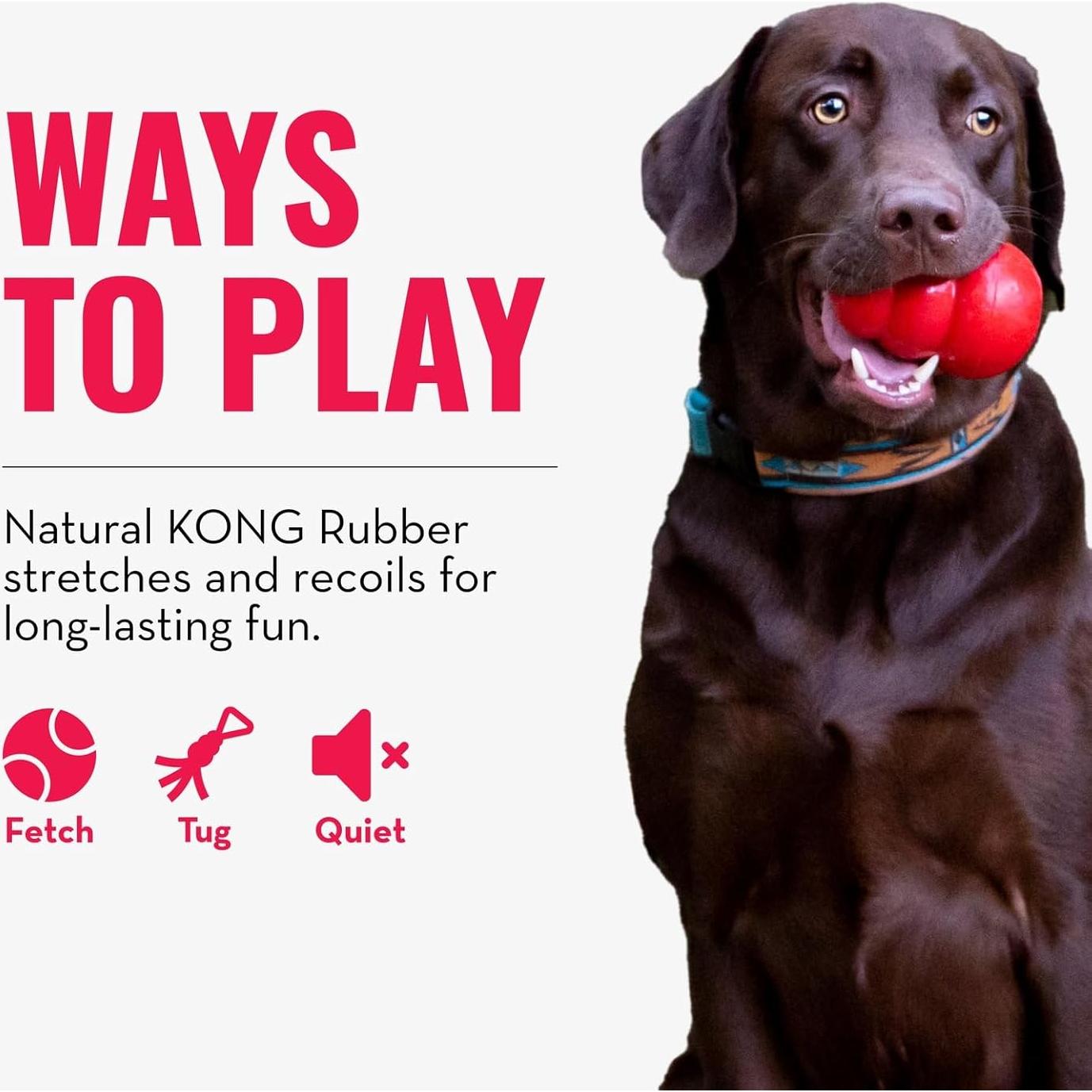 Juguete de Tirar KONG para Perros Medianos/Grandes - Goma Natural