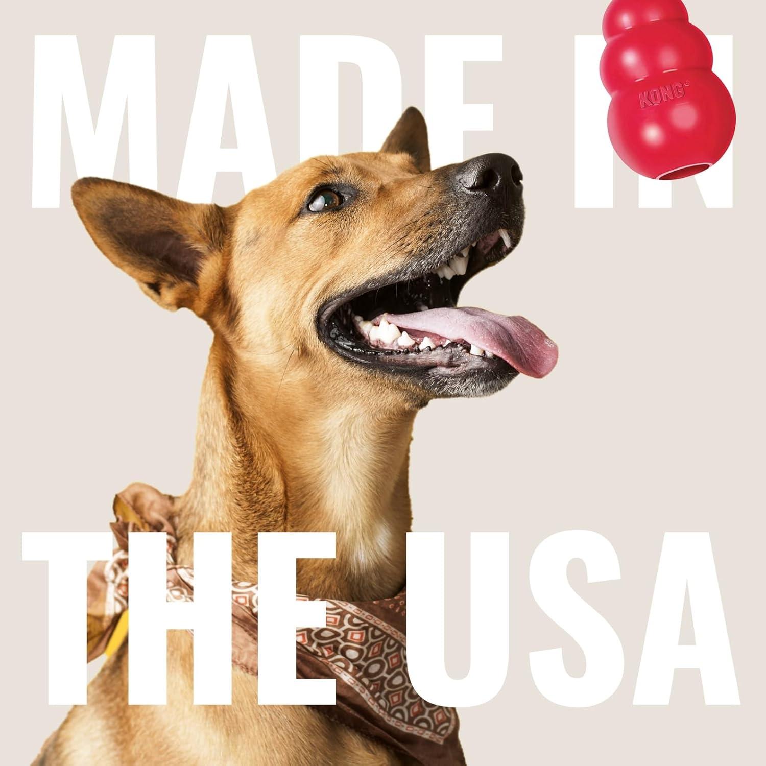 Juguete de Tirar KONG para Perros Medianos/Grandes - Goma Natural