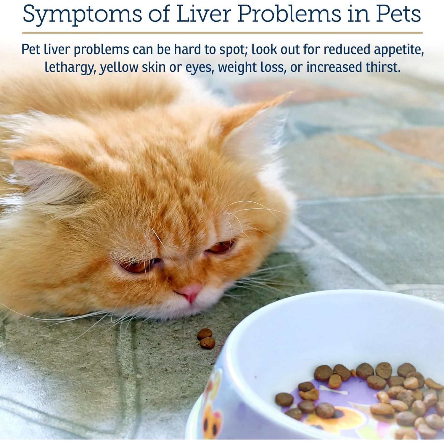 Suplemento Hepático Líquido Rx Vitamins para Perros 113ml