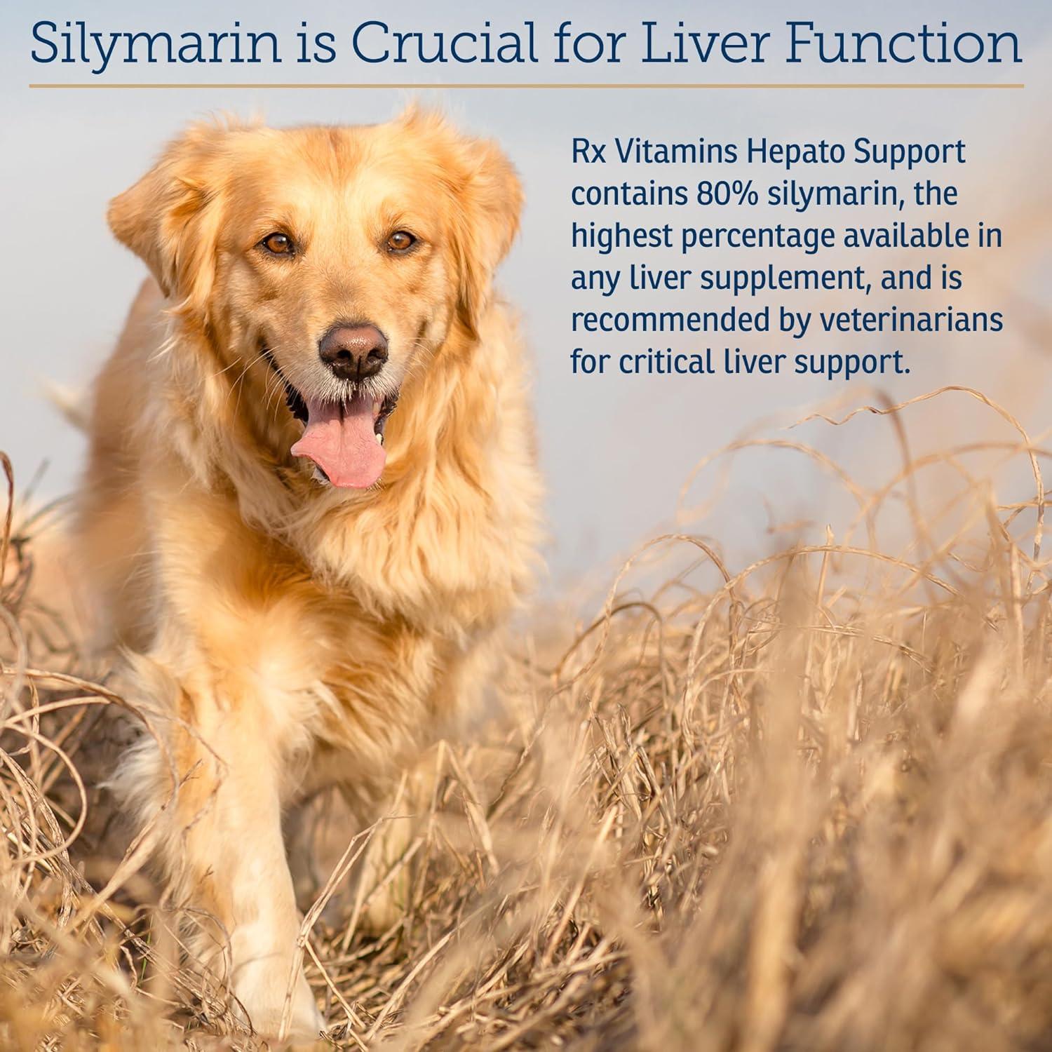 Suplemento Hepático Líquido Rx Vitamins para Perros 113ml