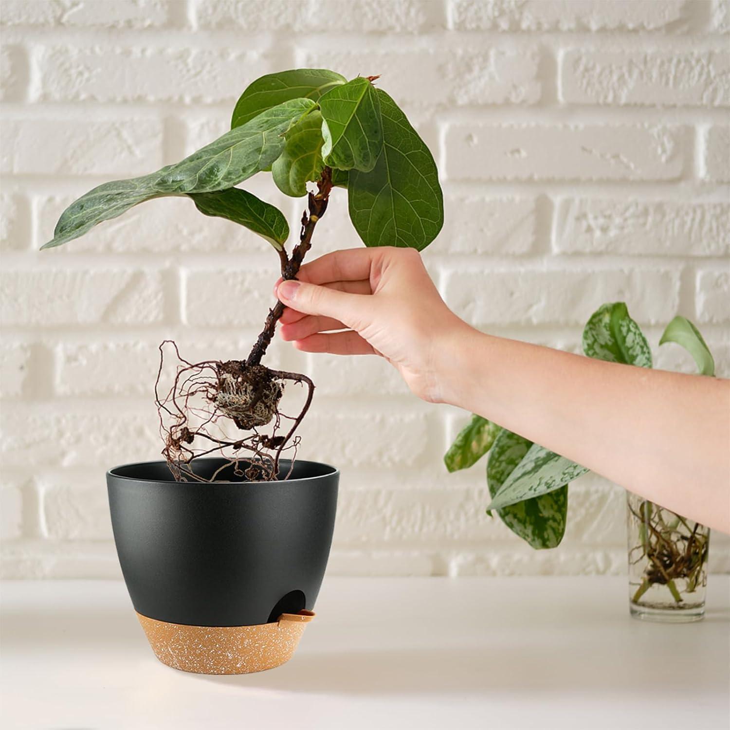 Macetas Autorriego SUN-E 5pcs Set Plástico Negro 17.78-12.7cm