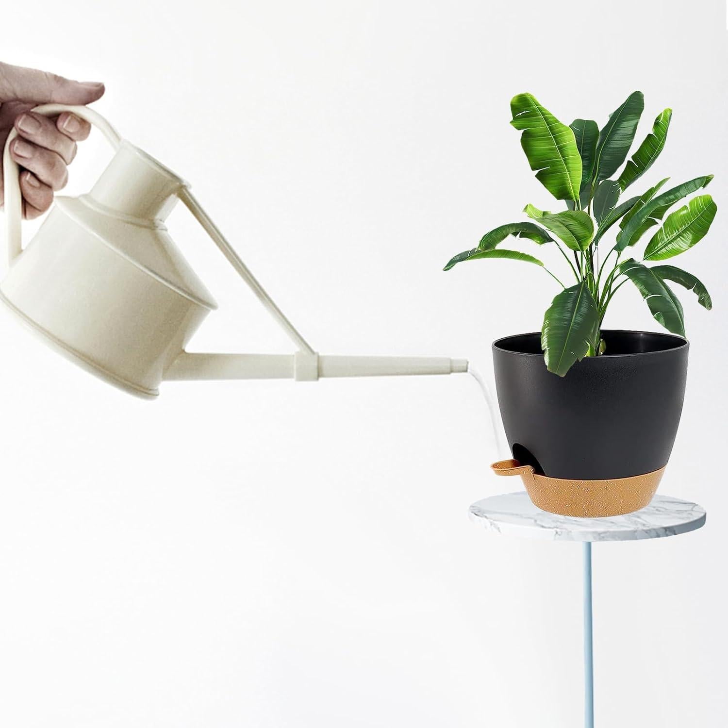 Macetas Autorriego SUN-E 5pcs Set Plástico Negro 17.78-12.7cm