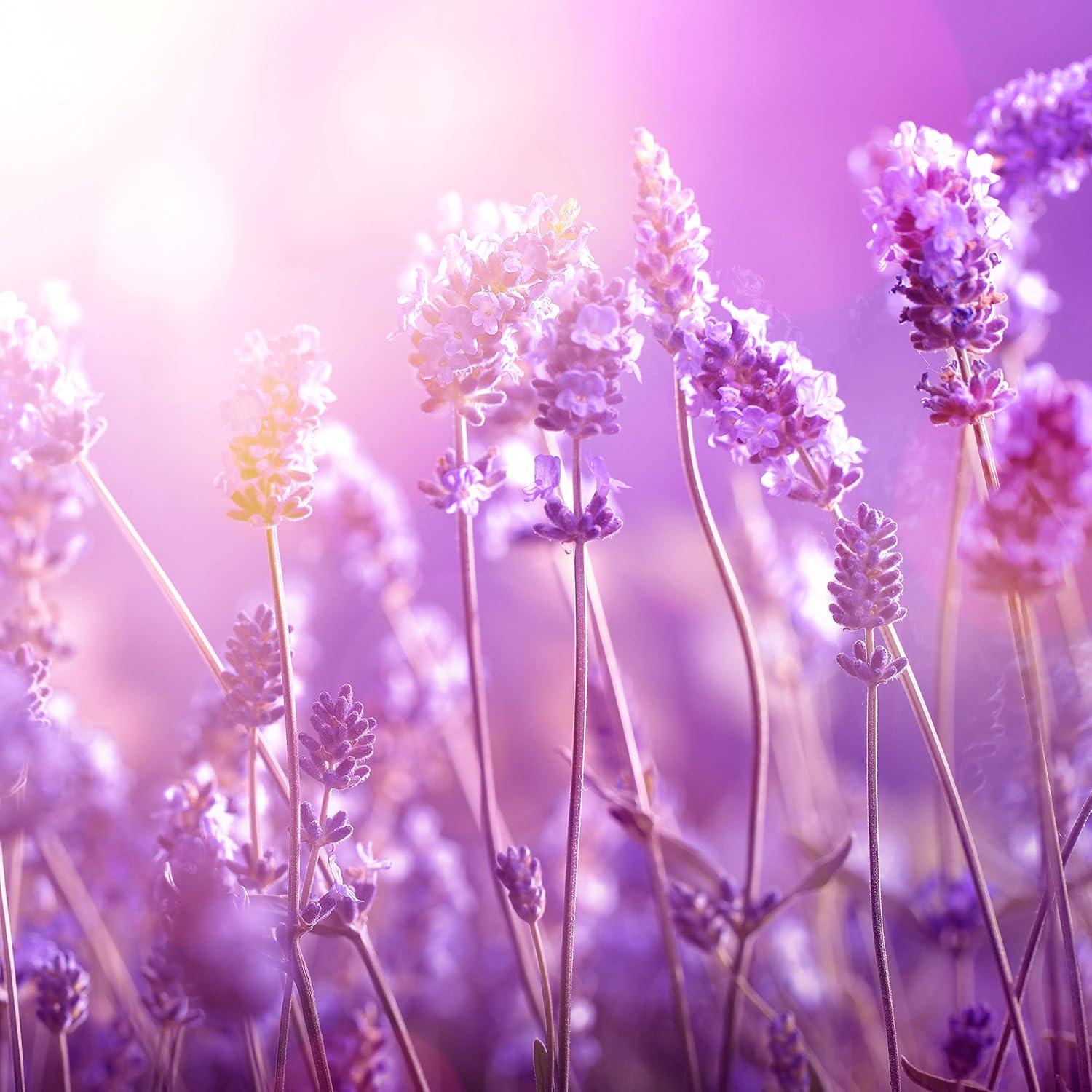 Toallitas Desmaquillantes Veganas Petal Fresh 60 Unidades