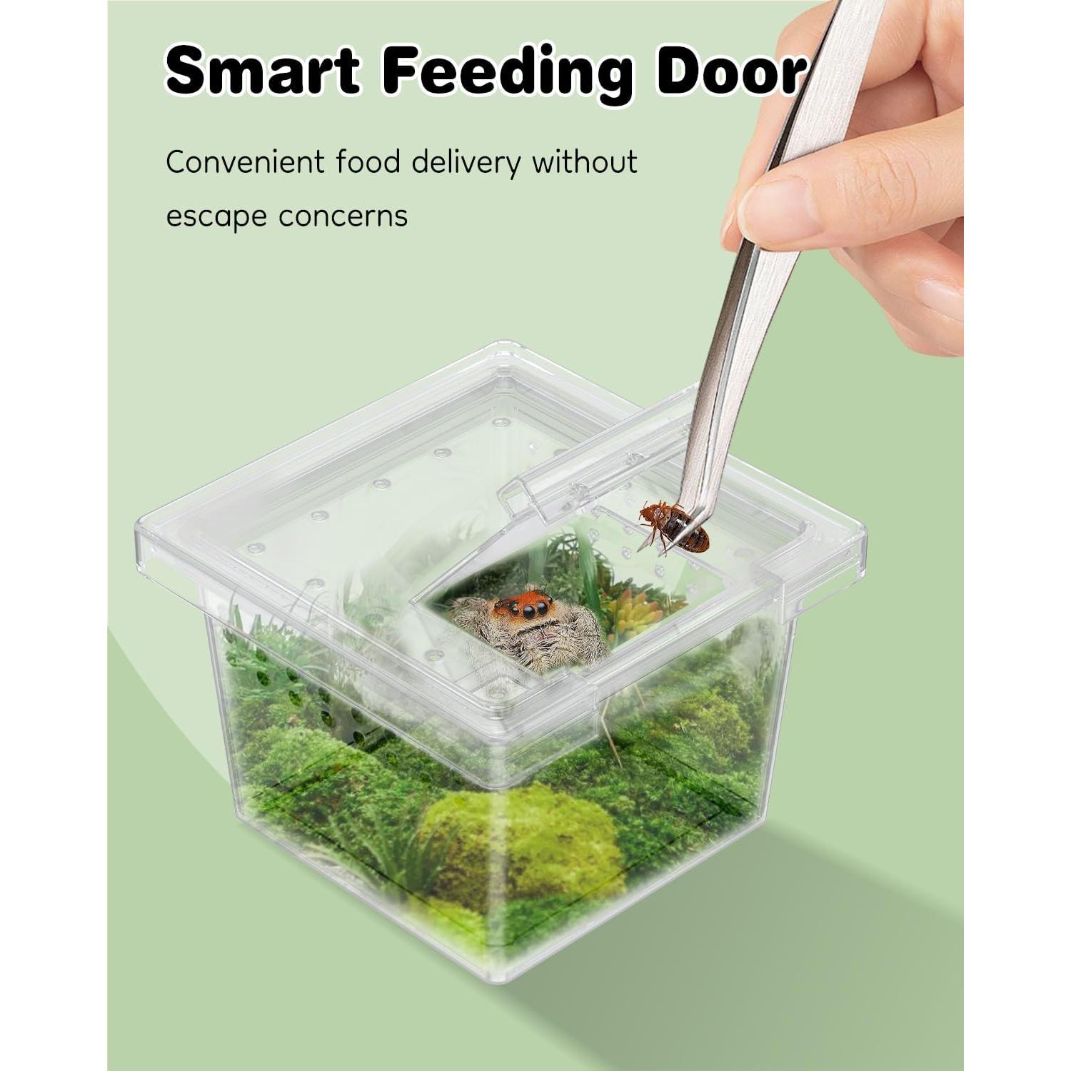 Terrario Mini Pawfly 10 Pcs para Arañas y Reptiles 5.8cm