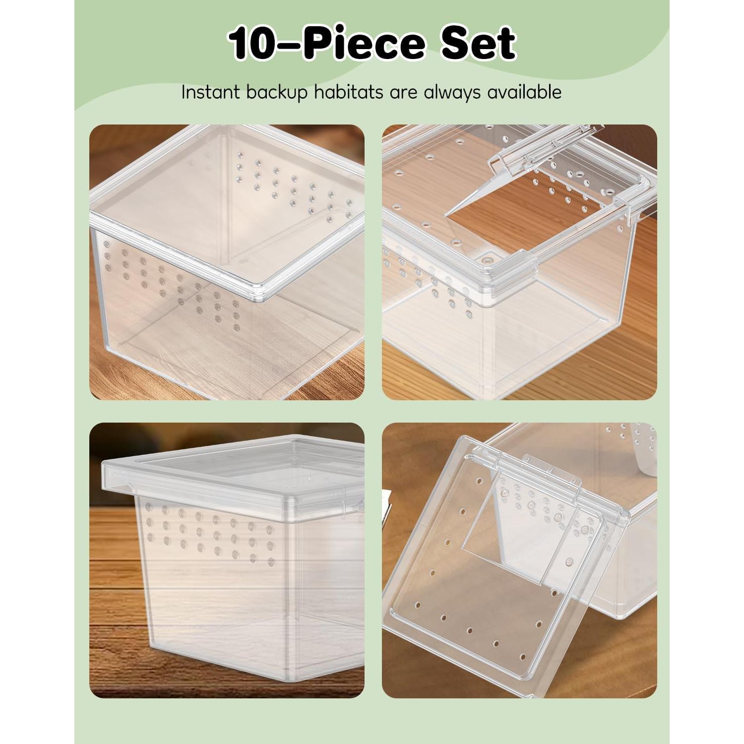 Terrario Mini Pawfly 10 Pcs para Arañas y Reptiles 5.8cm