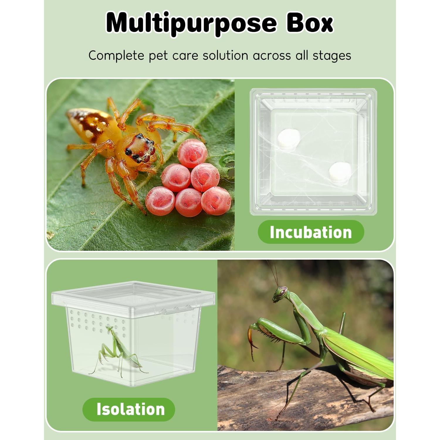 Terrario Mini Pawfly 10 Pcs para Arañas y Reptiles 5.8cm