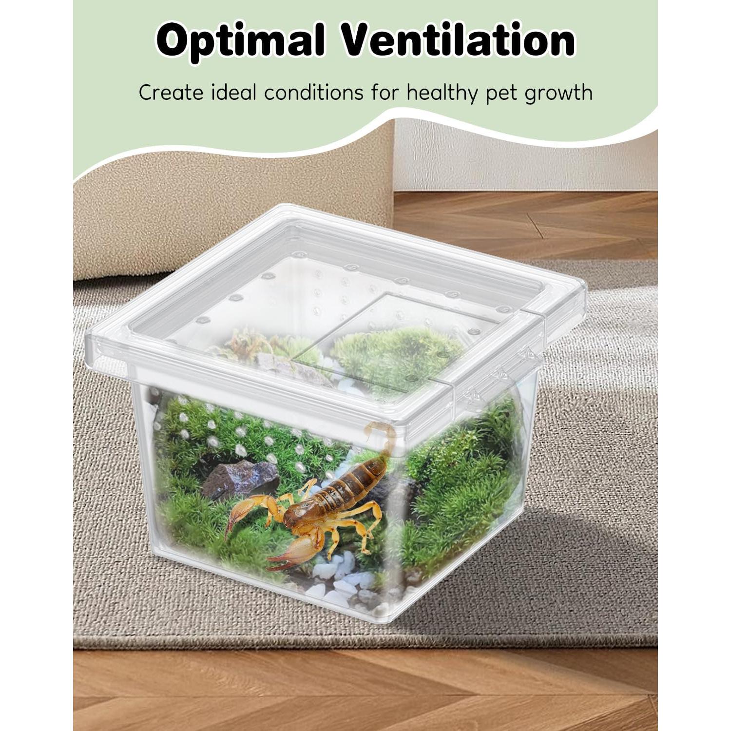 Terrario Mini Pawfly 10 Pcs para Arañas y Reptiles 5.8cm