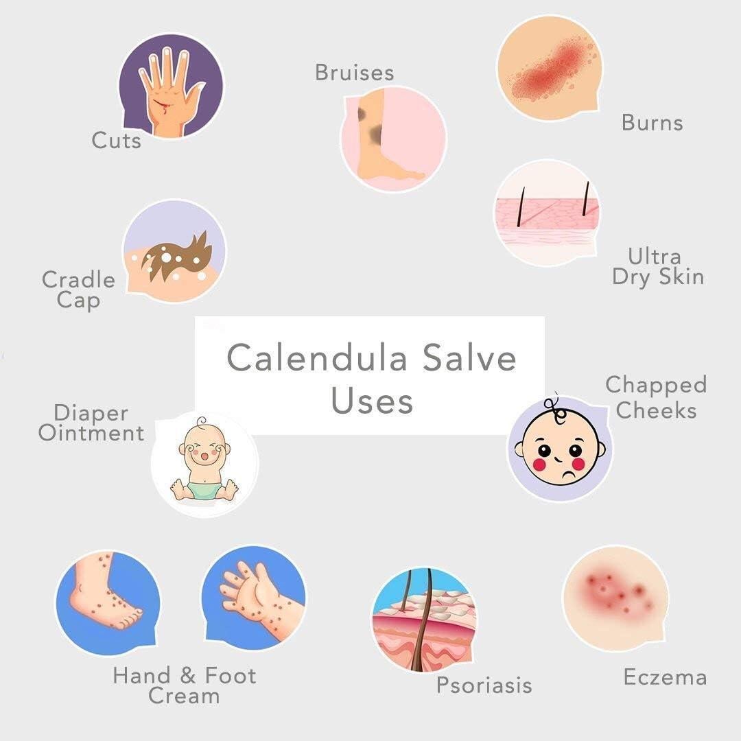 Ungüento de Caléndula Herbal Green + Lovely 56.7g Sin Fragancia