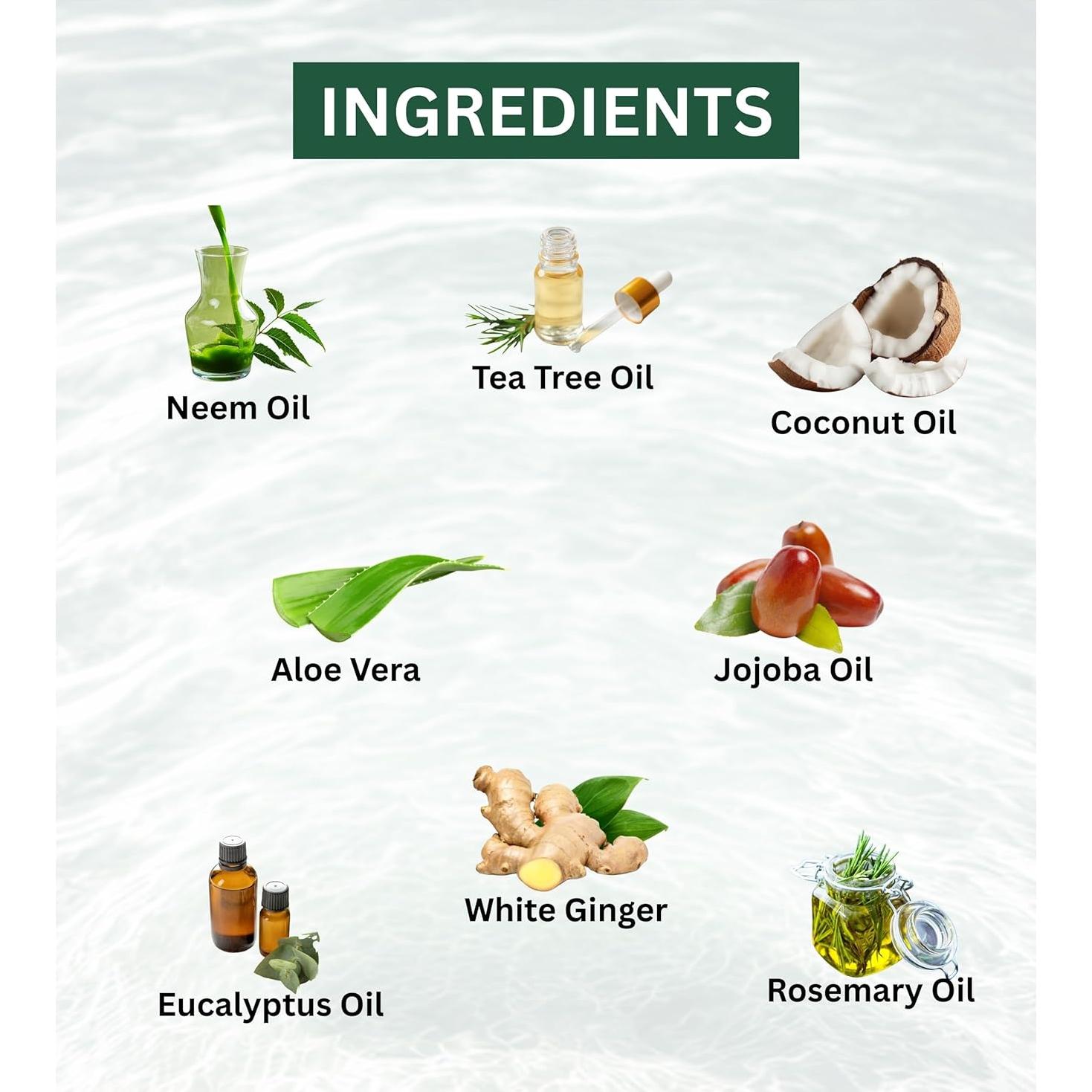 Jabón en Barra RX Body Care 113 g - Aceite de Árbol de Té Antiséptico