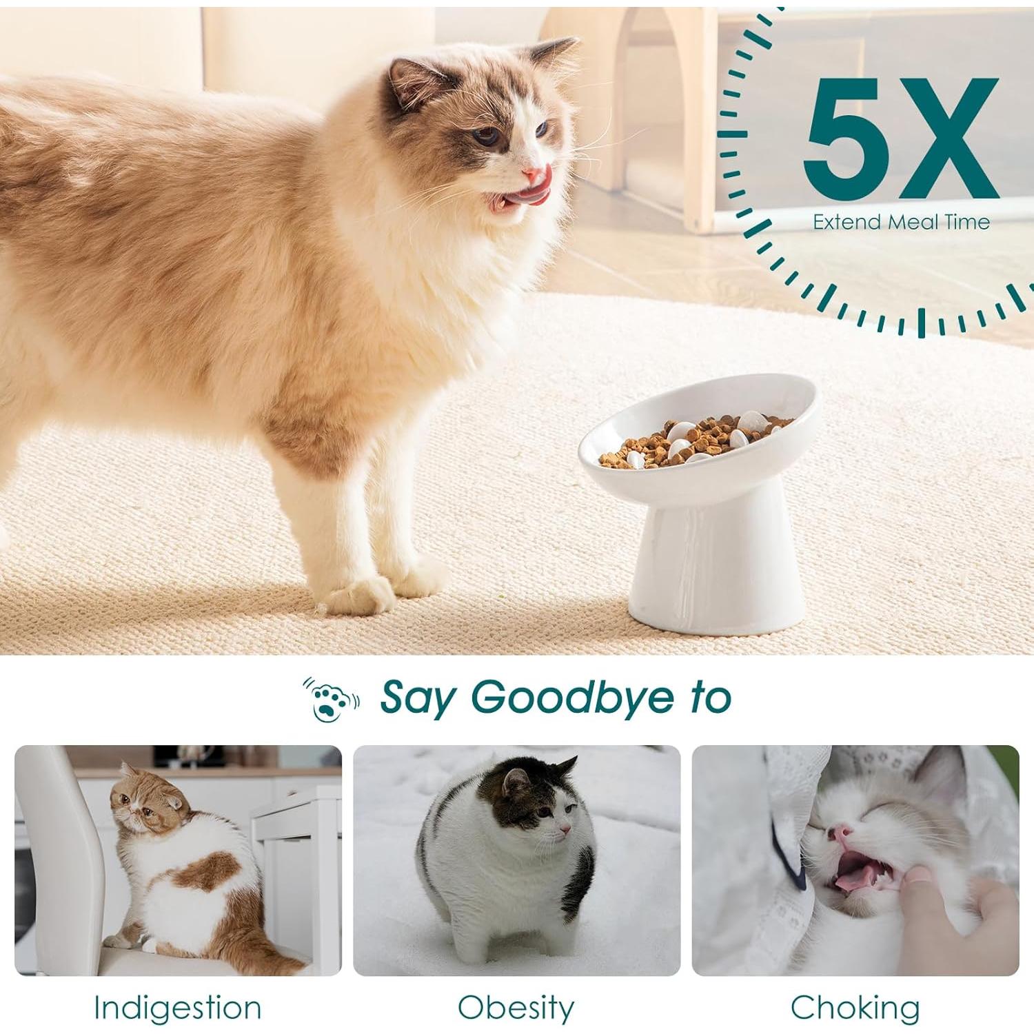 Tazón Antideslizante para Gatos vancasso 15.75 cm Blanco