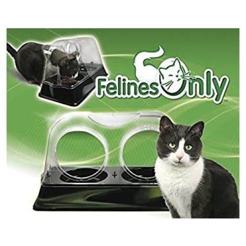 Plato de Alimentación para Gatos Purrrfect Solo Felinos 42.5x21cm