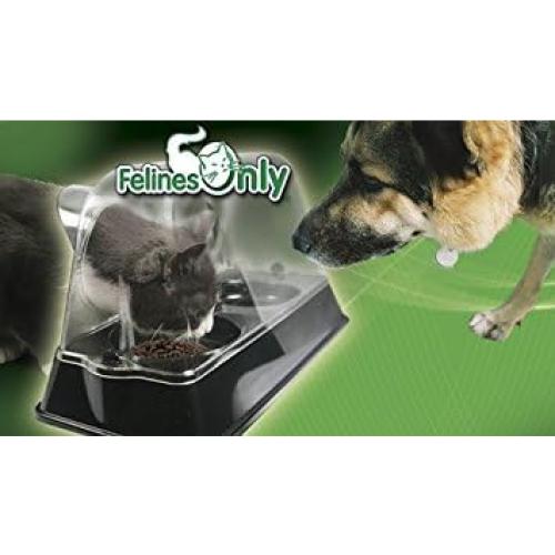 Plato de Alimentación para Gatos Purrrfect Solo Felinos 42.5x21cm