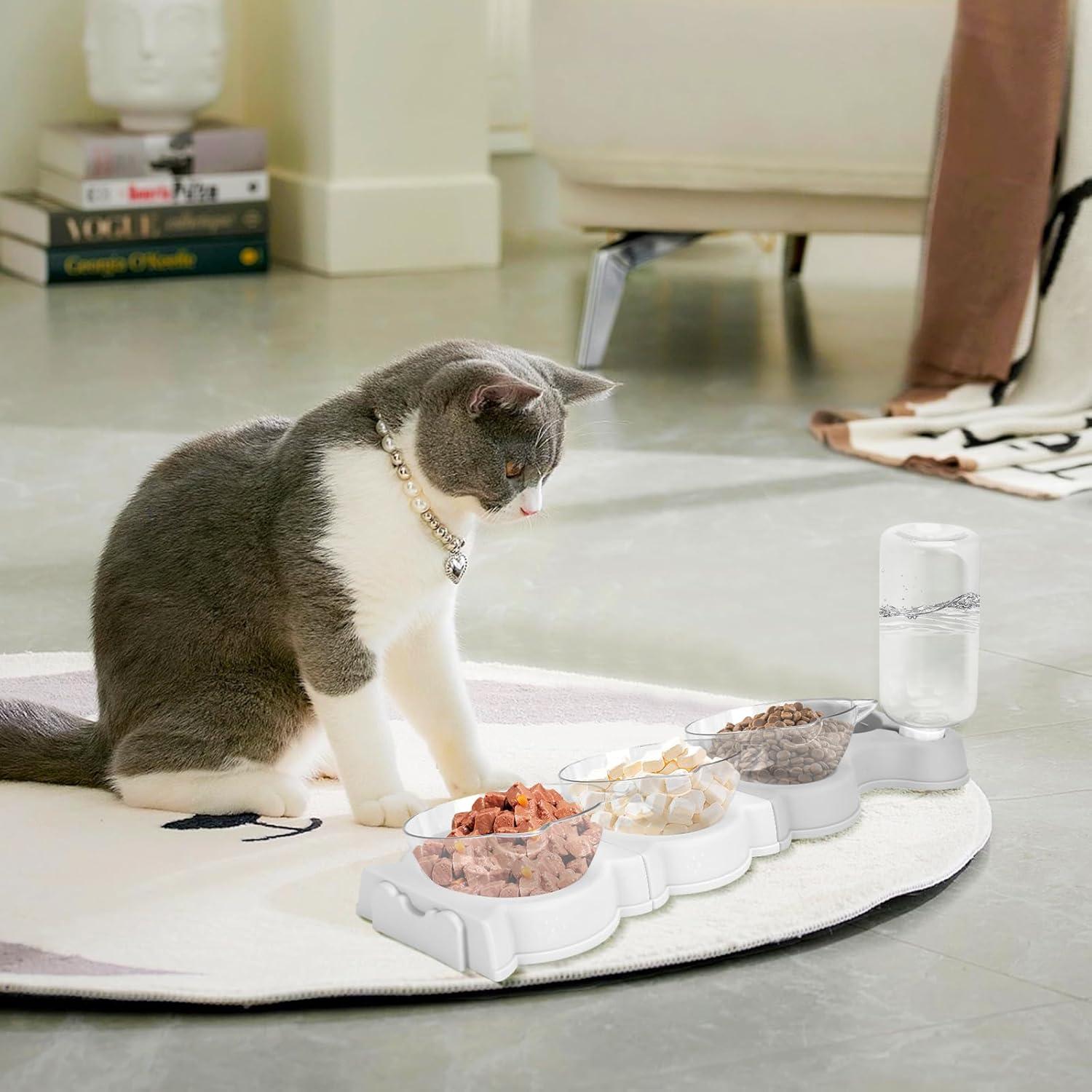 Plato para Gatos Yummy Sam 4 en 1 con Dispensador de Agua