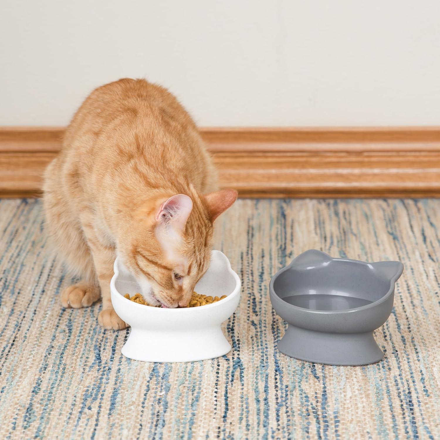 Tazones Elevados para Gatos Kitty City 2pk Modernos 305g