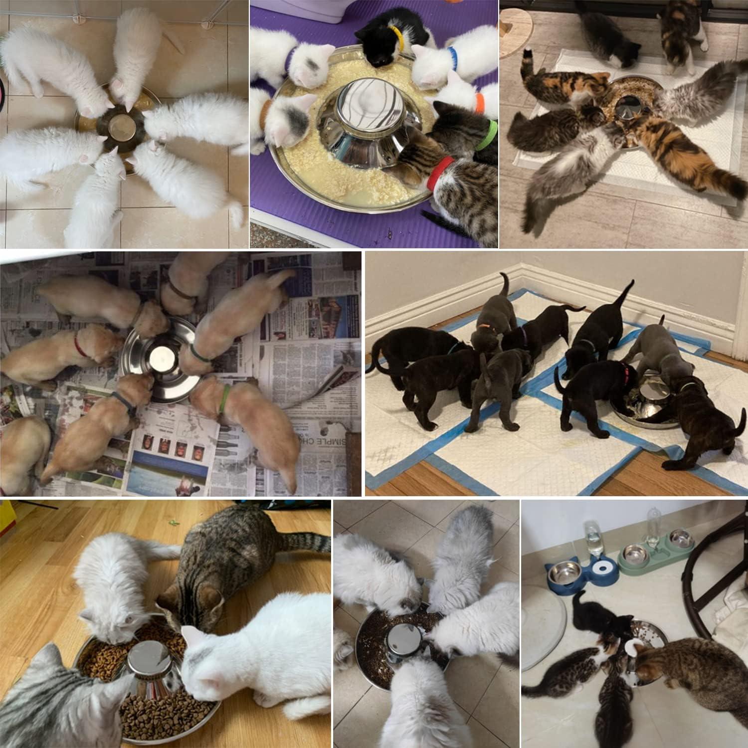 Cuenco de Acero Inoxidable para Mascotas QIYADIN Tamaño M