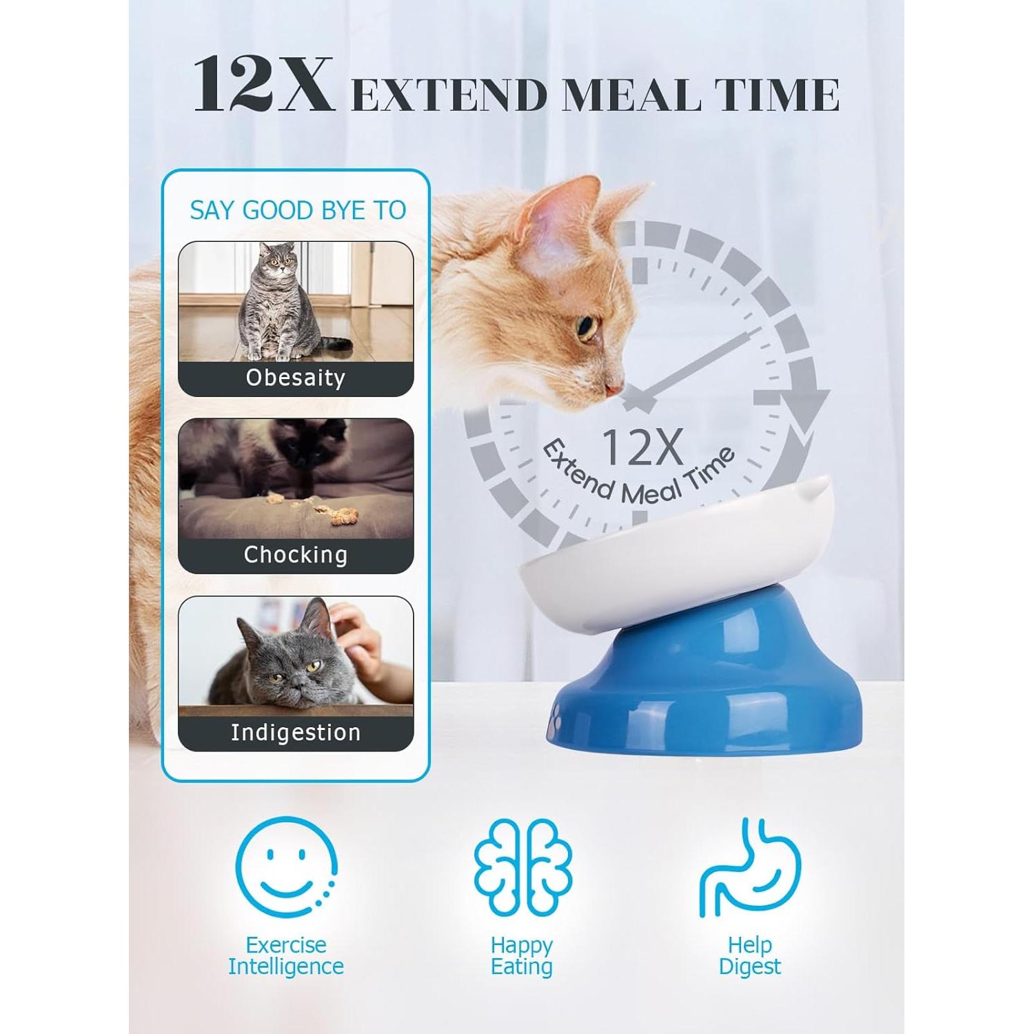 Cuenco Cerámico Elevado para Gatos Y YHY Azul 12.7cm