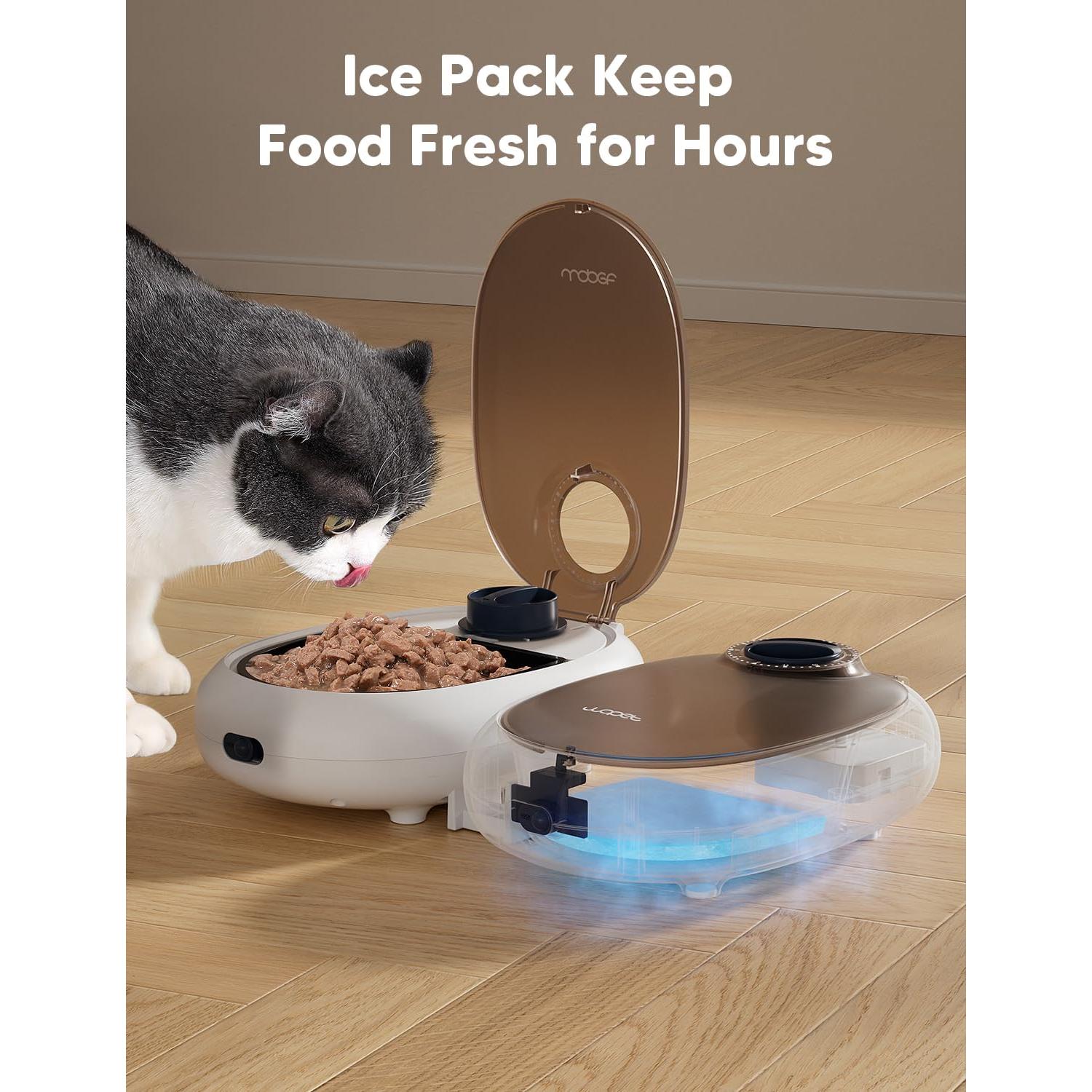 Dispensador Automático de Comida WOPET para Gatos y Perros 1.07kg