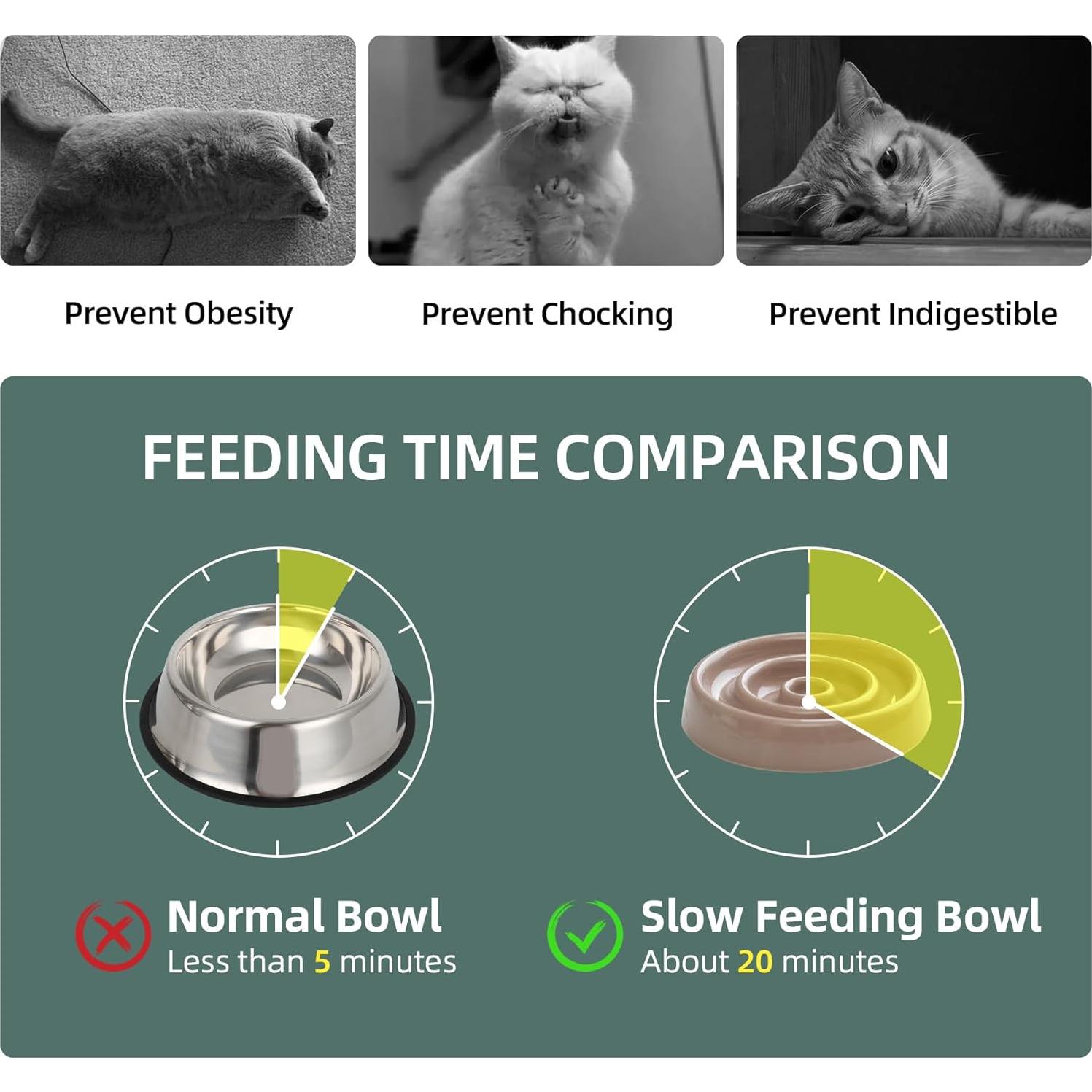 Tazón Elevado de Comida Lenta para Gatos Havniva 15.24cm