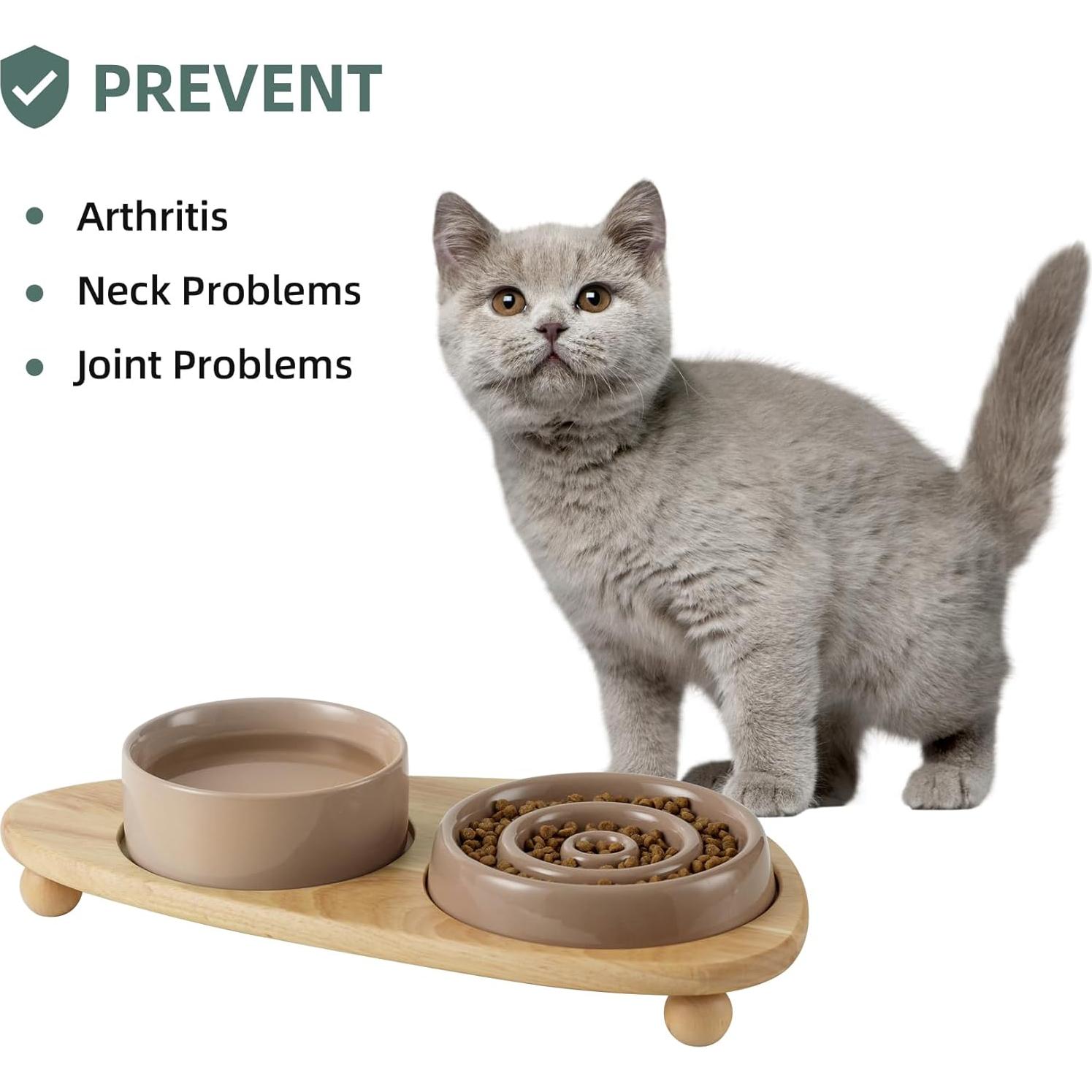 Tazón Elevado de Comida Lenta para Gatos Havniva 15.24cm