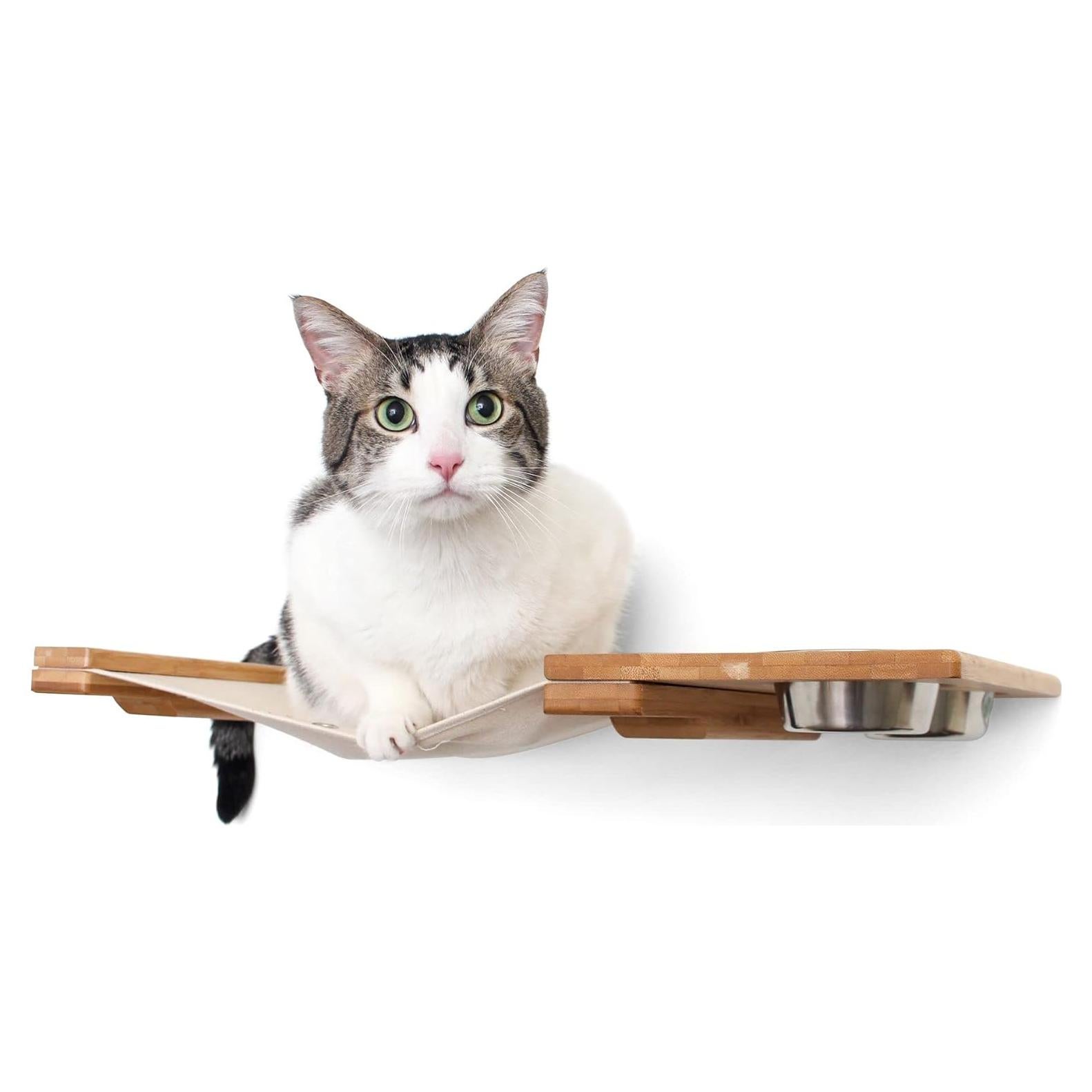 Comedero Lounge para Gatos Catastrophic Creations 63.5 cm