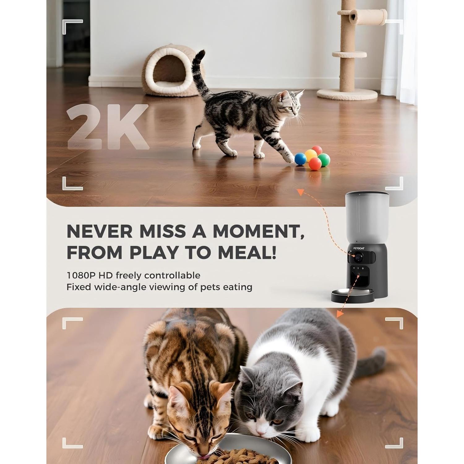 Comedero Automático PETLIBRO 6L con Doble Cámara HD 2K y Wi-Fi