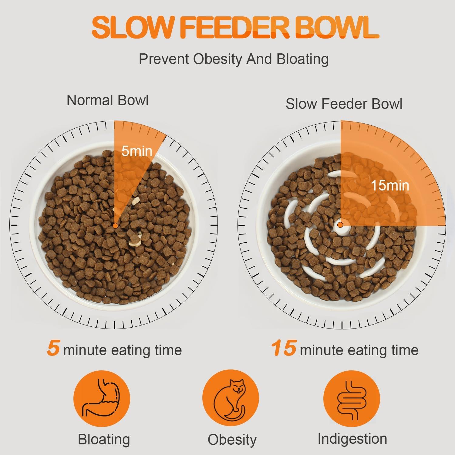 Cuenco Elevado para Gatos Lusifaco 15 cm Cerámica Antivómito