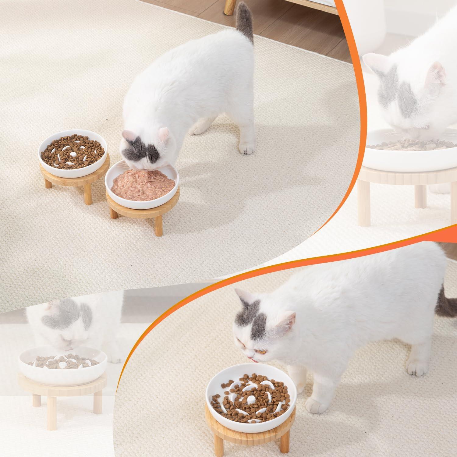 Cuenco Elevado para Gatos Lusifaco 15 cm Cerámica Antivómito