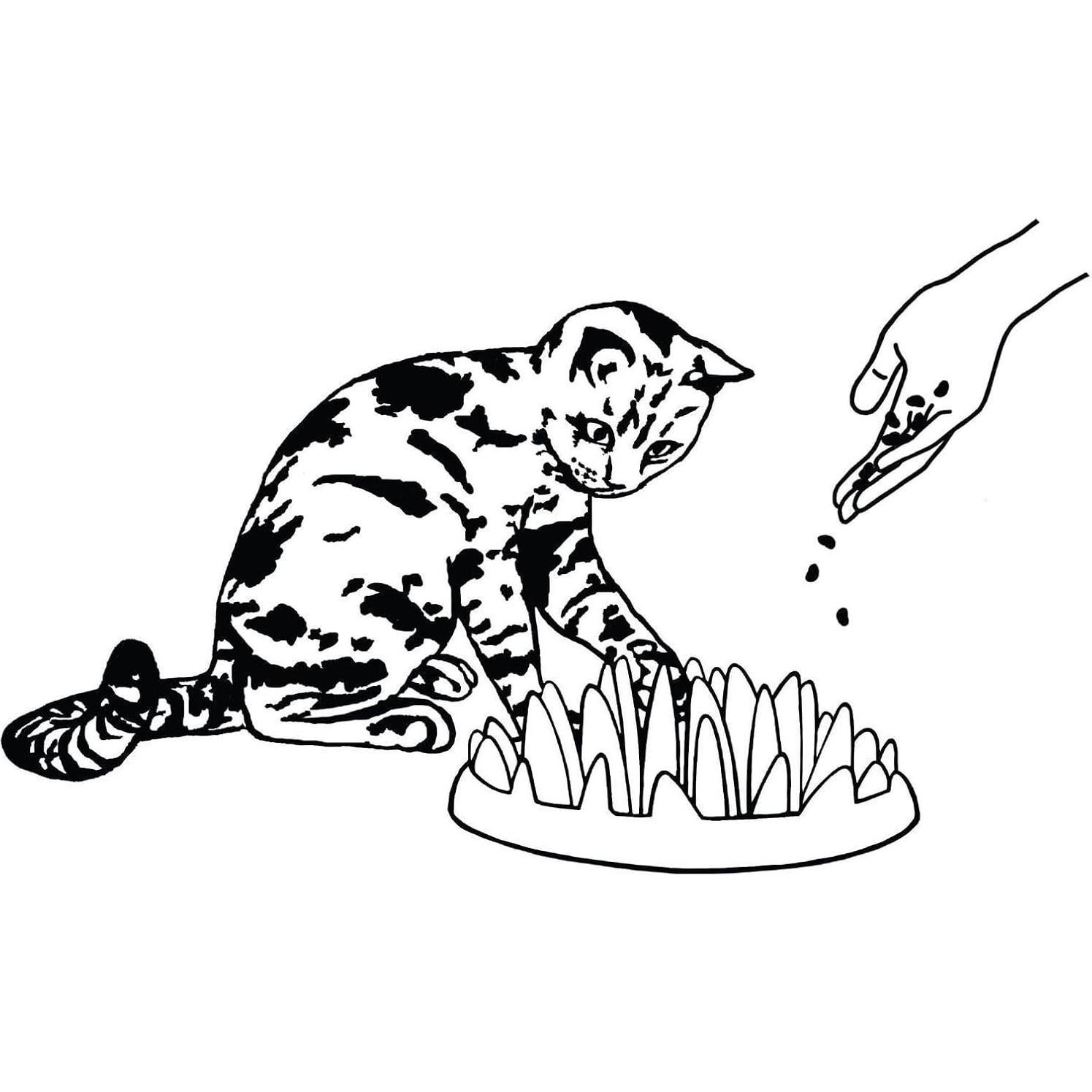 Comedero Catch para Gatos Mini - Estimula Juego y Alimentación