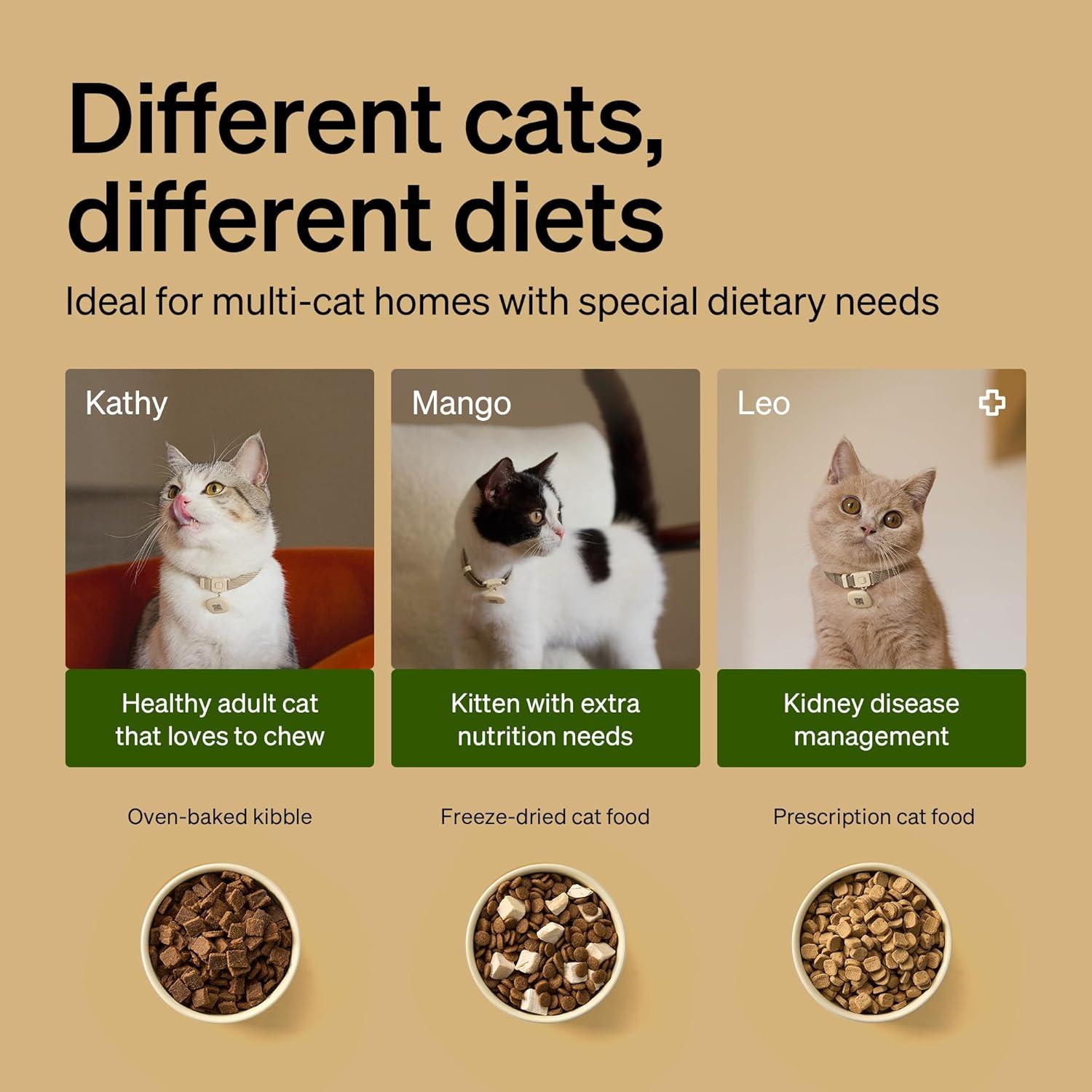 Alimentador Automático para Gatos PETLIBRO 3L RFID Negro