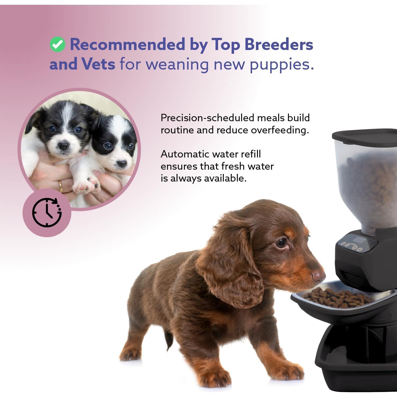 Comedero Automático Feeding Friend® para Perros y Gatos XS - Negro