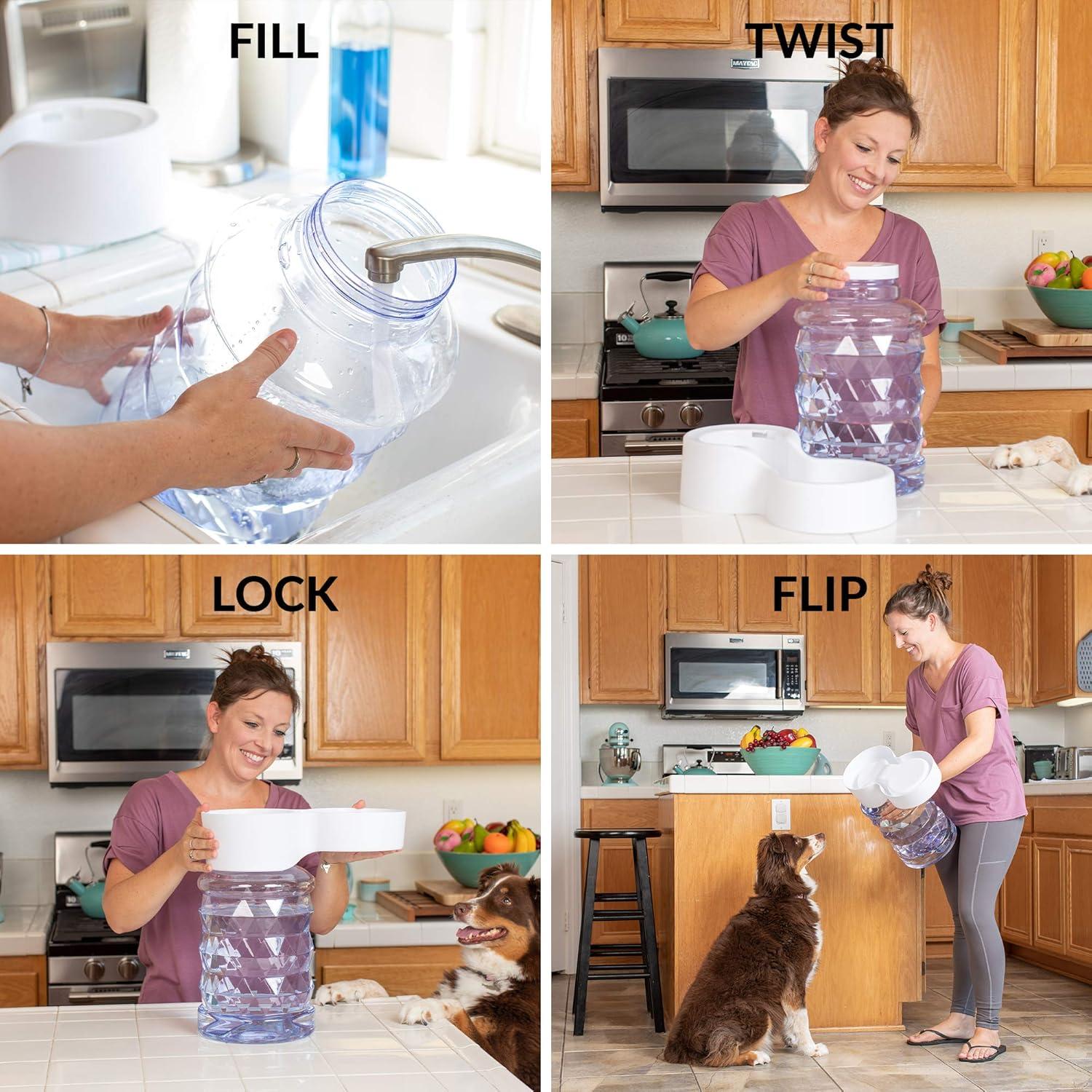 Dispensador de Agua Automático PetFusion H2O Gravity 9.46L