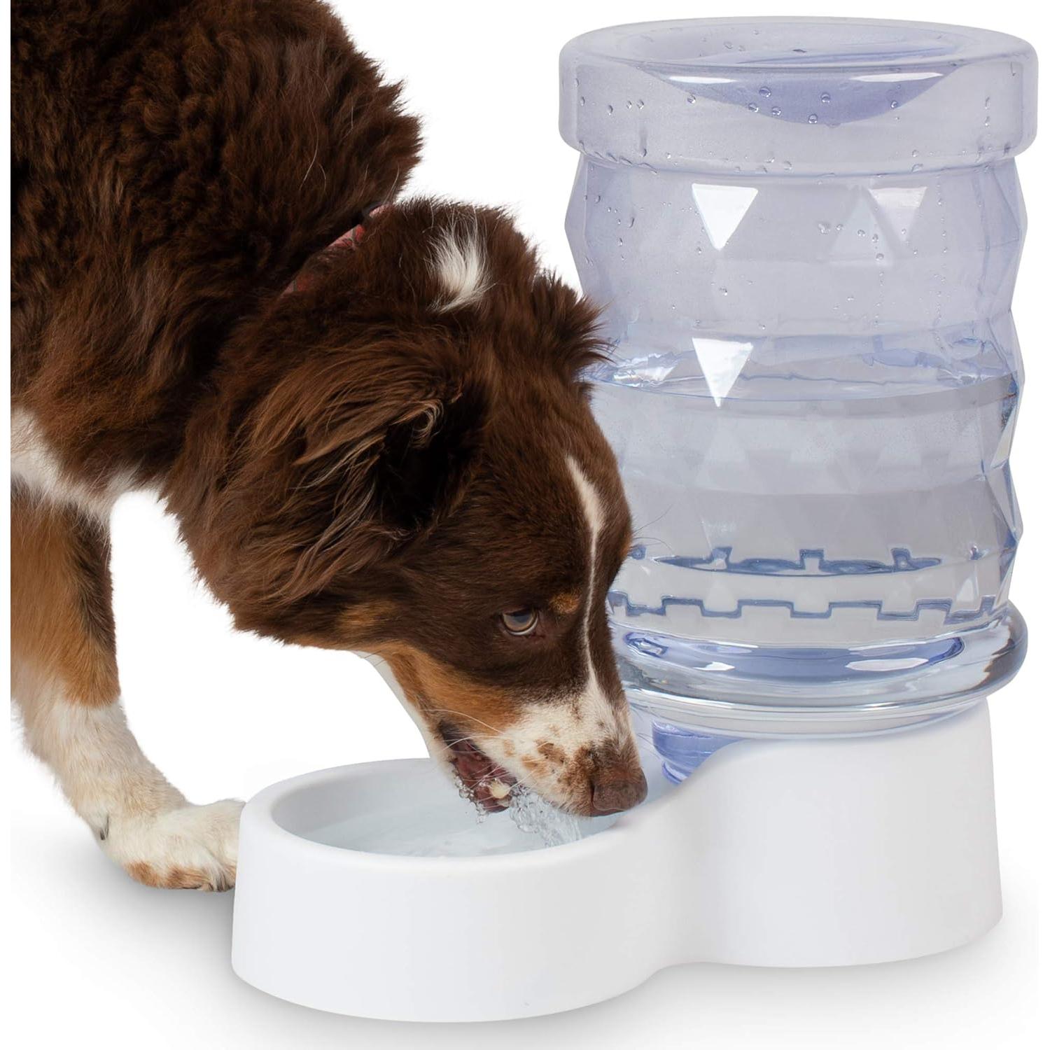 Dispensador de Agua Automático PetFusion H2O Gravity 9.46L