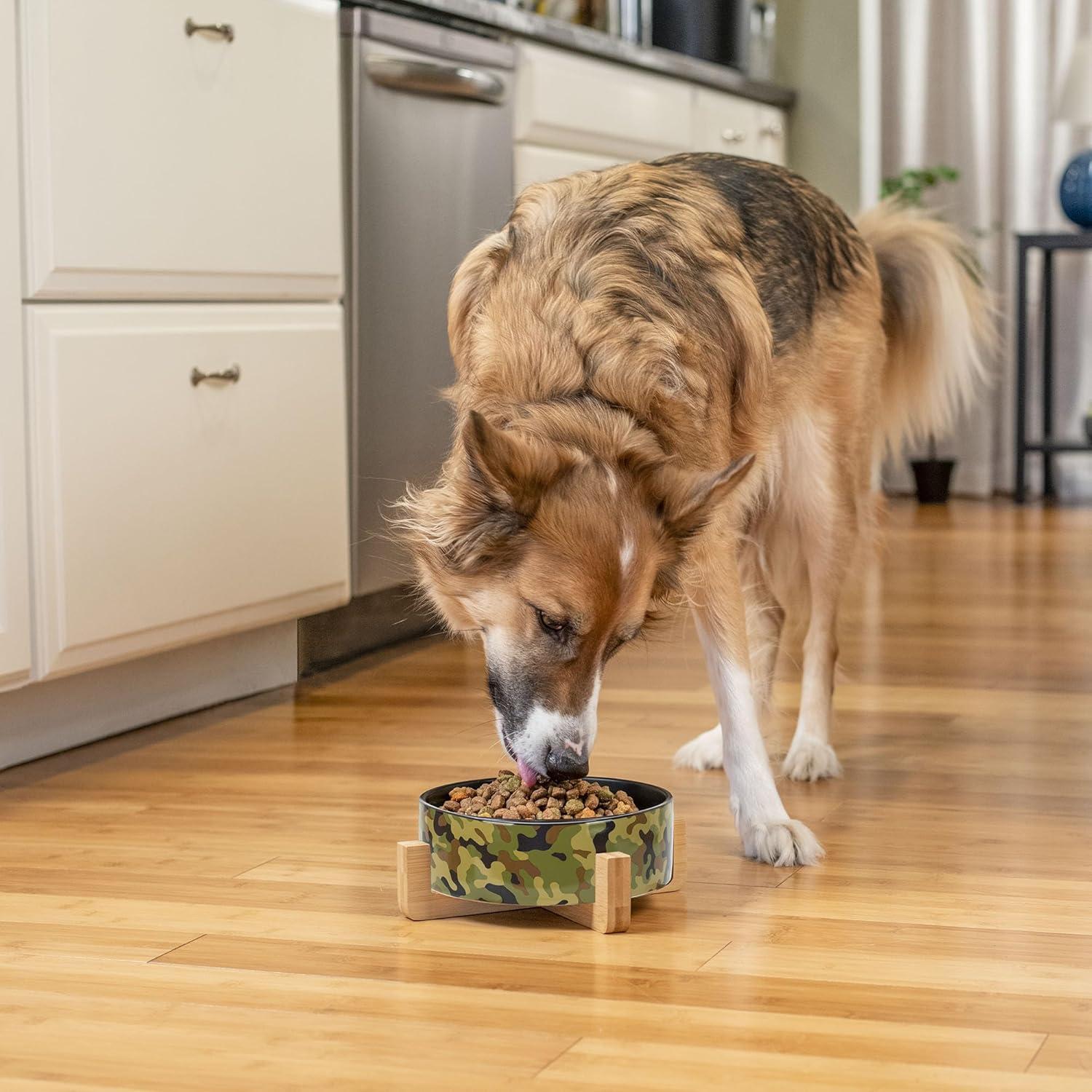 Tazón Grande para Mascotas Nat & Jules 20 cm Camuflaje Militar